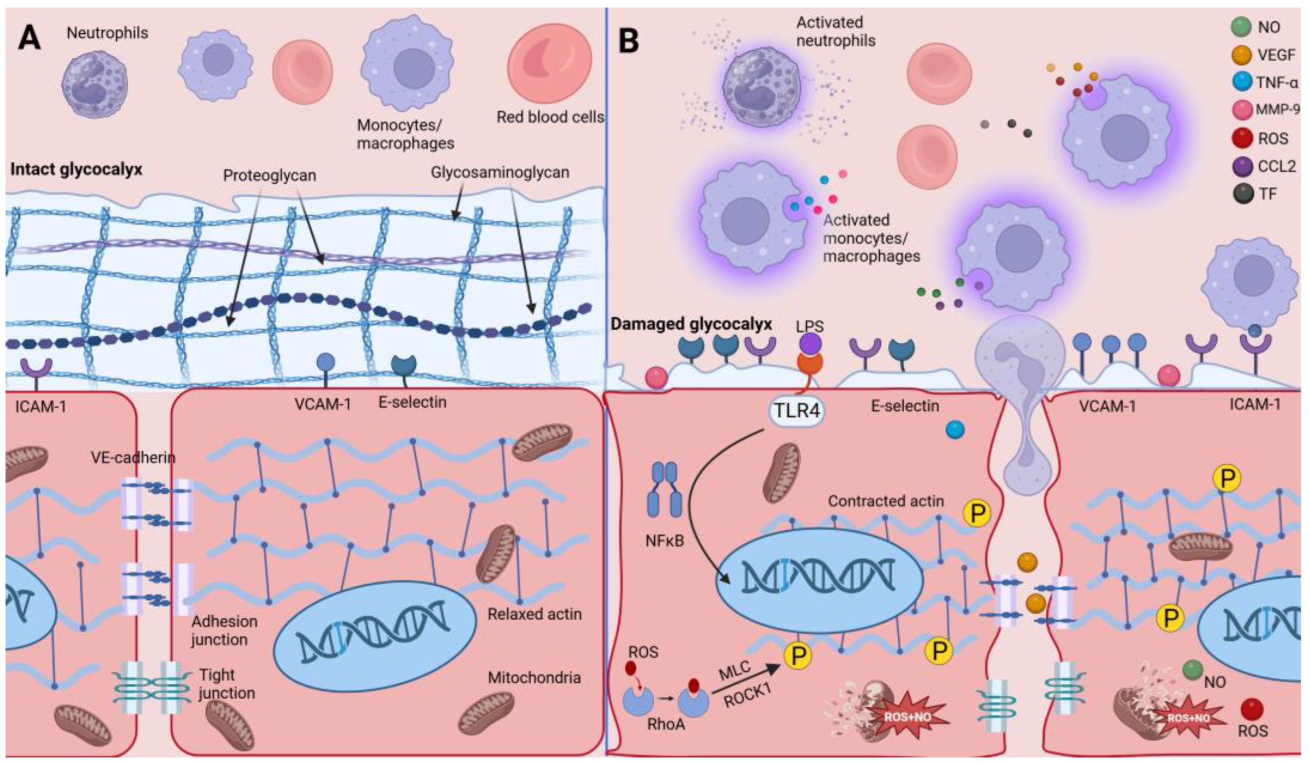 Biomolecules 14 00980 g001 Biomolecules 14 00980 g001