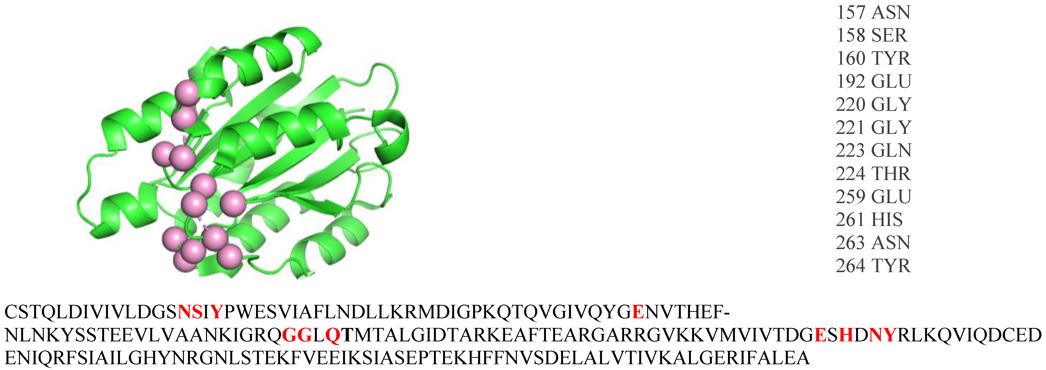 Biomolecules 14 00983 g002 Biomolecules 14 00983 g002