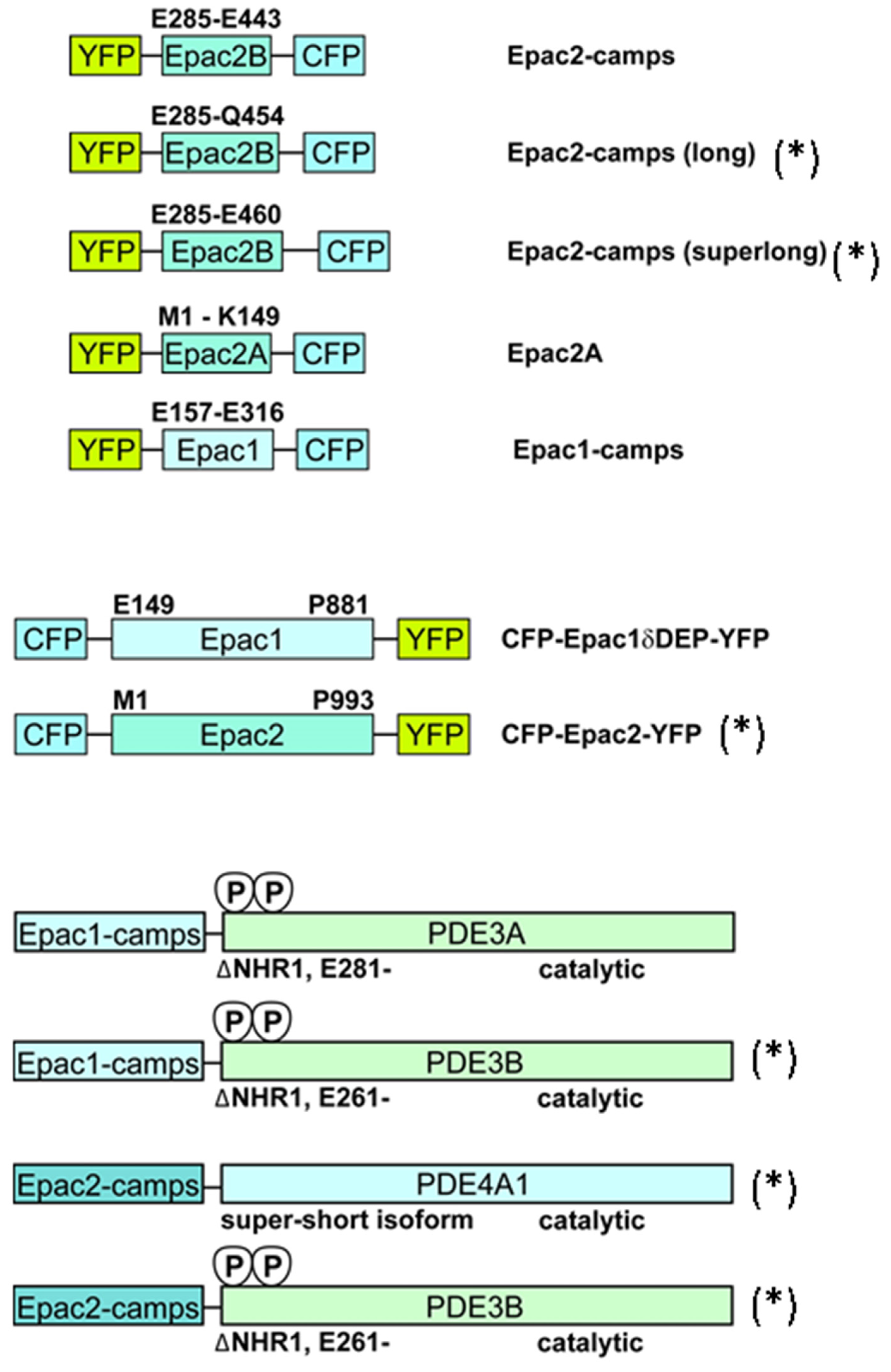 Biomolecules 14 00985 g001 Biomolecules 14 00985 g001