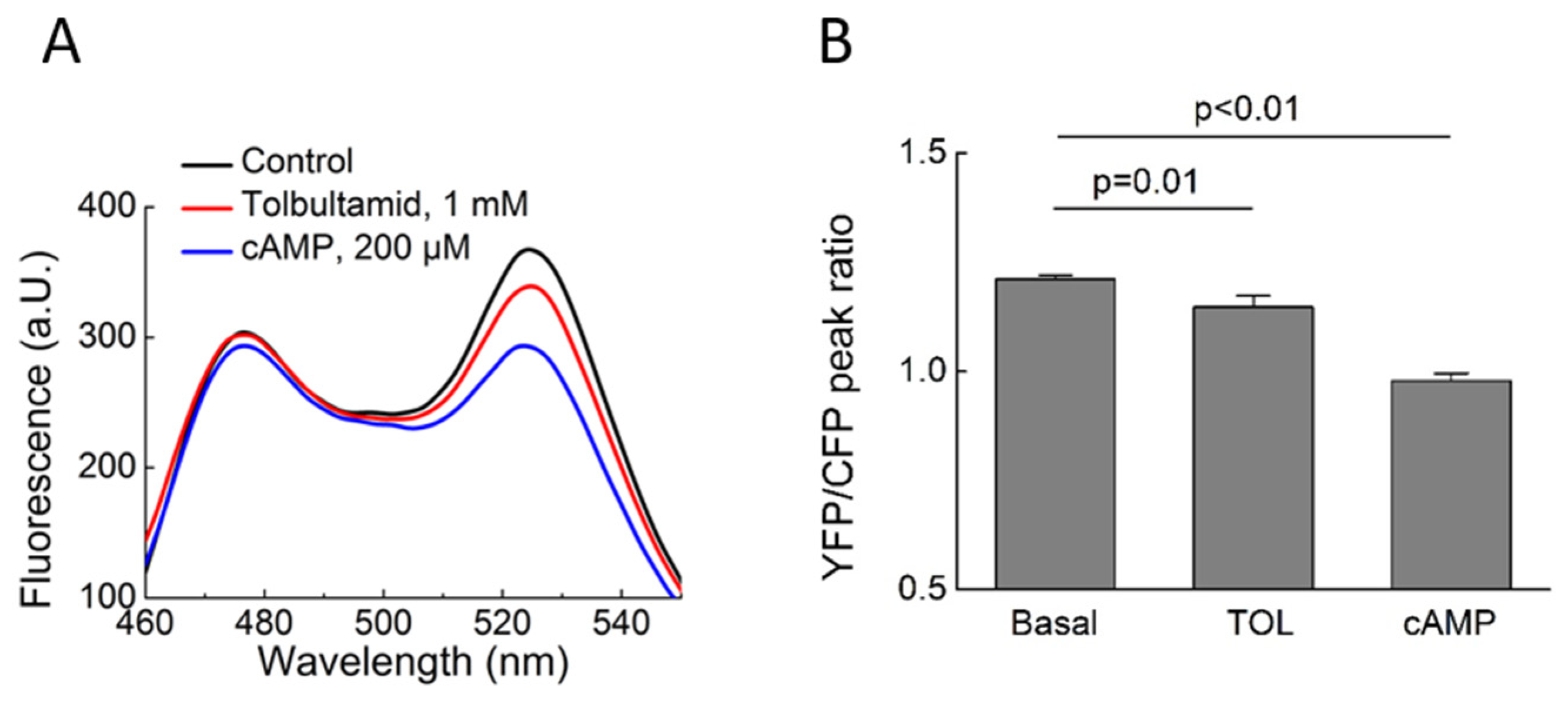 Biomolecules 14 00985 g005 Biomolecules 14 00985 g005