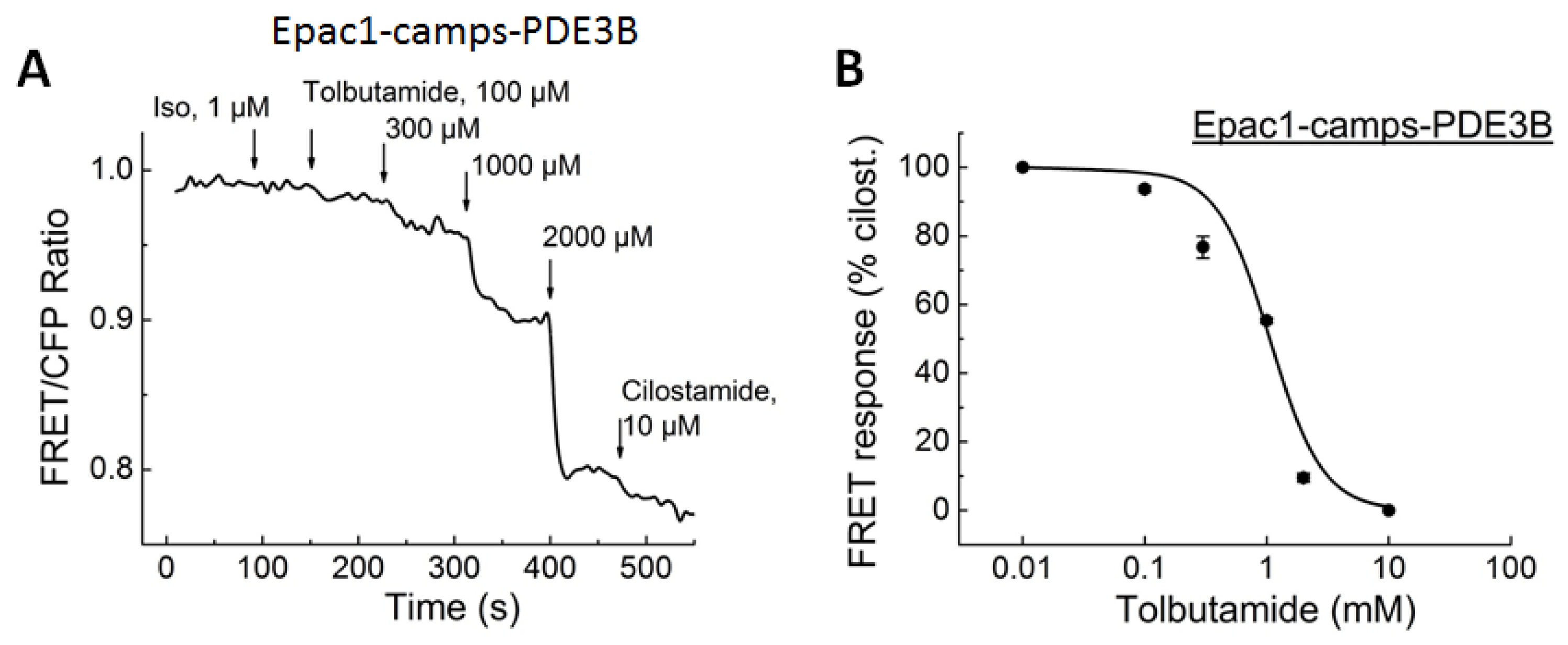 Biomolecules 14 00985 g006 Biomolecules 14 00985 g006