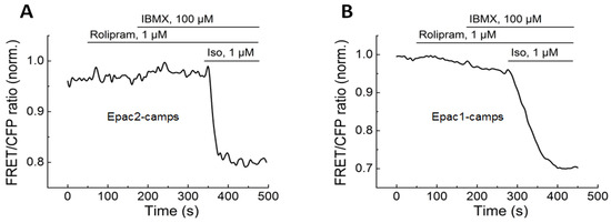 Biomolecules 14 00985 g0a2