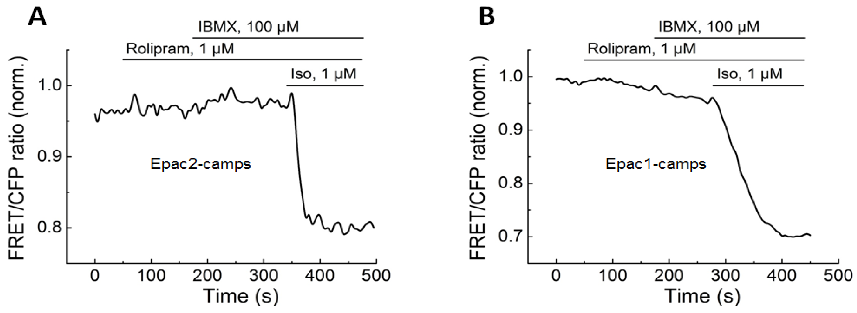 Biomolecules 14 00985 g0a2 Biomolecules 14 00985 g0a2