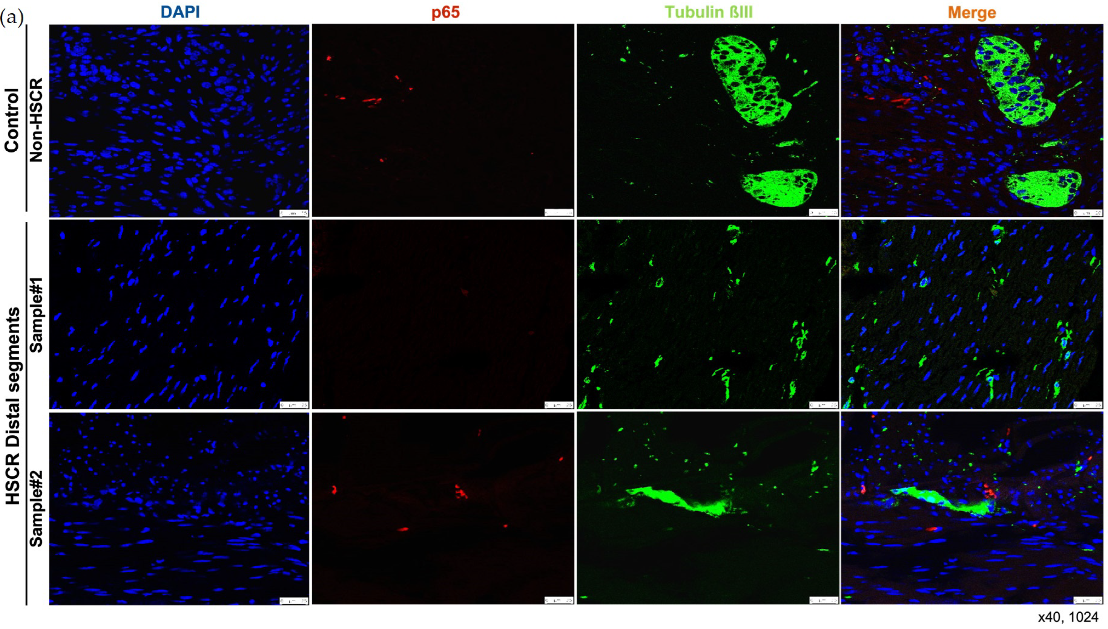 Biomolecules 14 00992 g003a