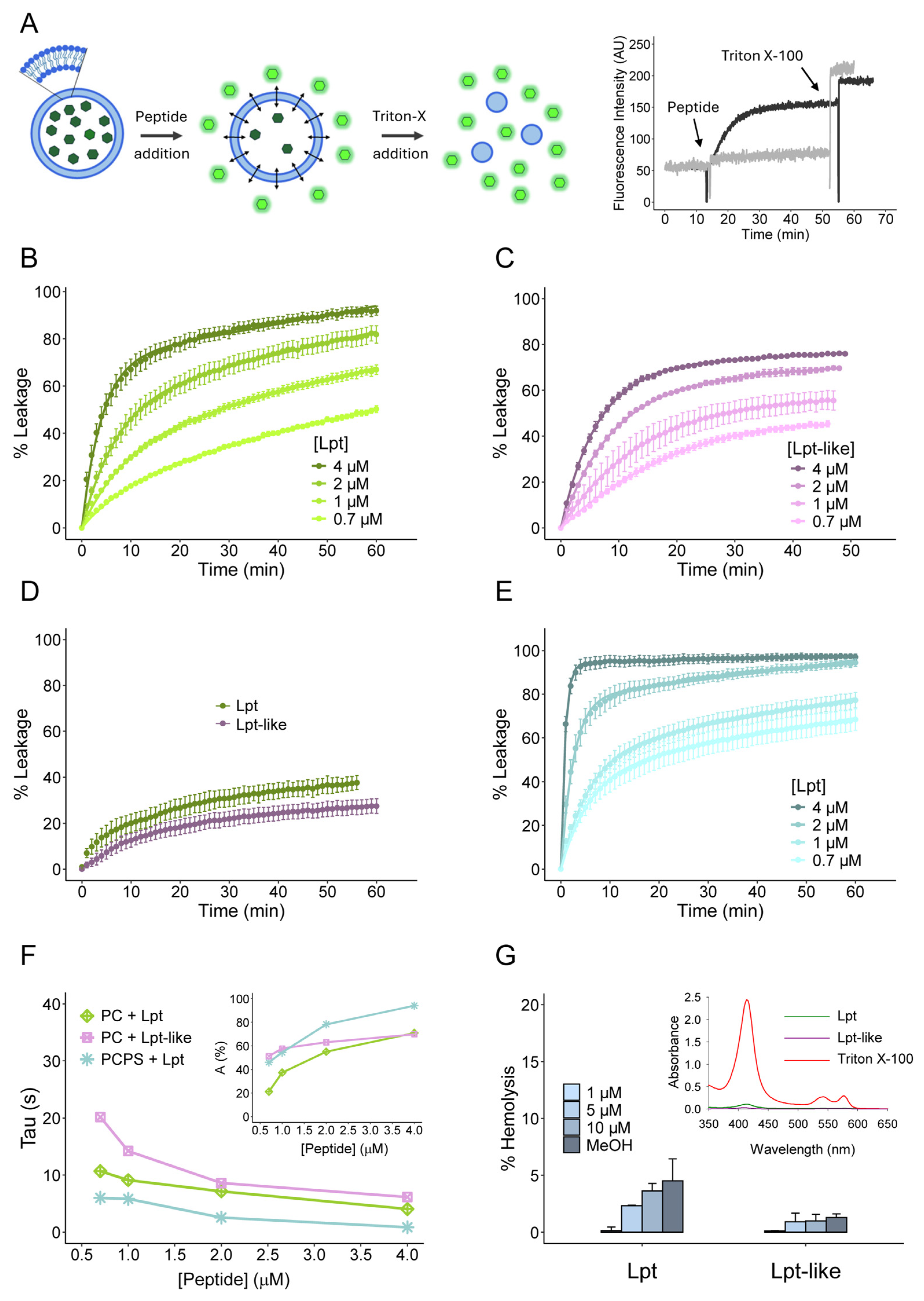 Biomolecules 14 00994 g003 Biomolecules 14 00994 g003