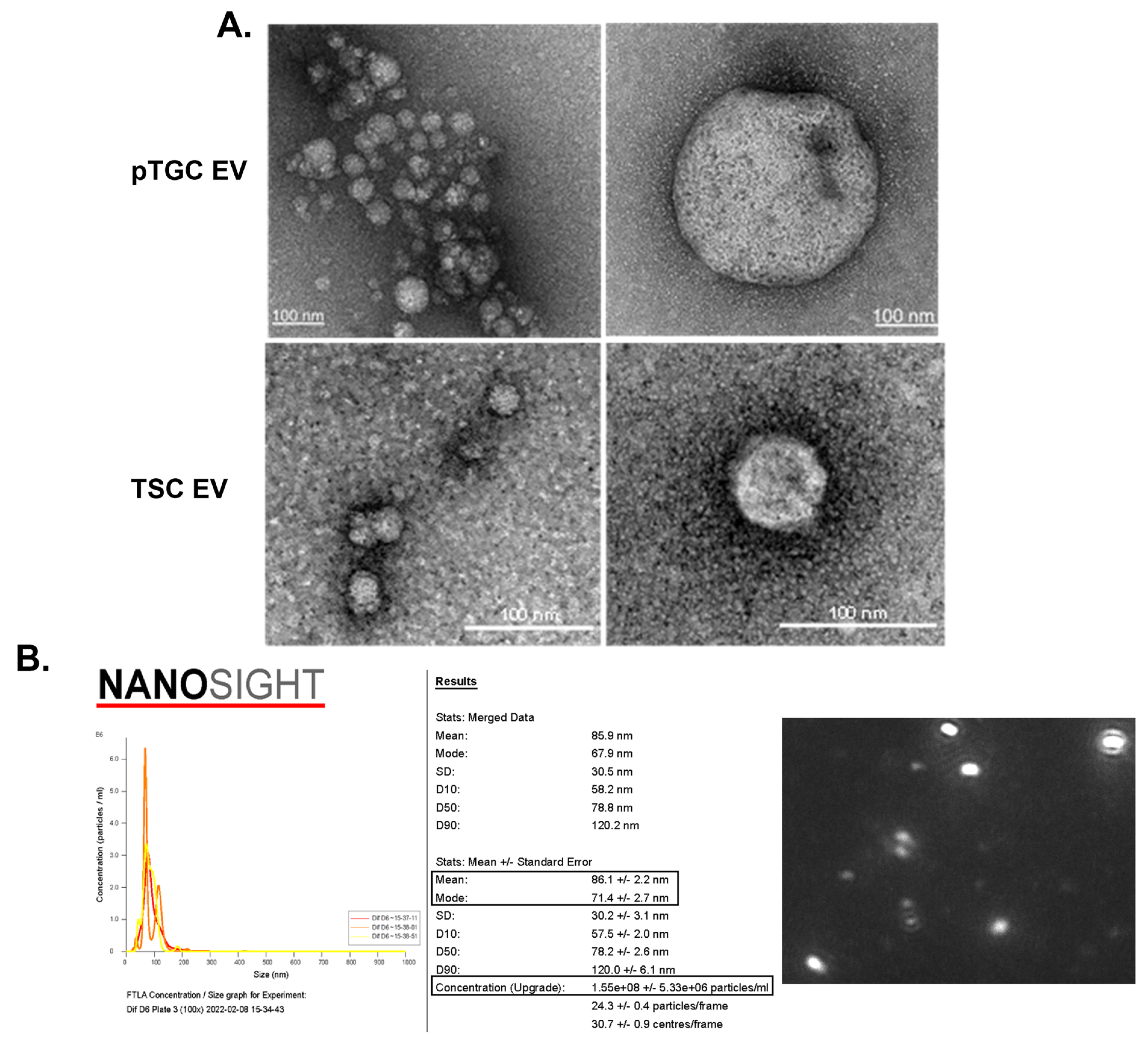 Biomolecules 14 00995 g002