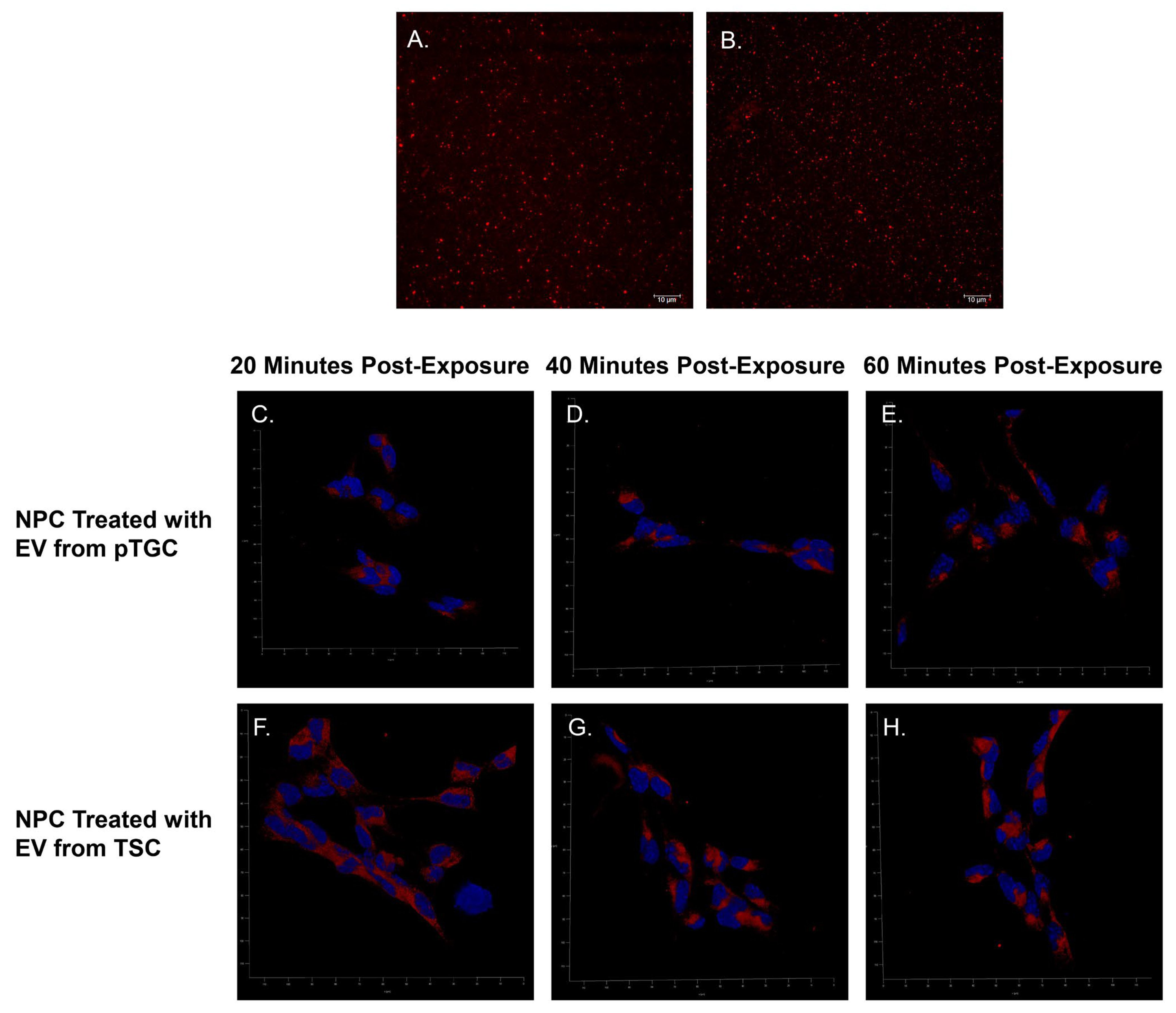 Biomolecules 14 00995 g003