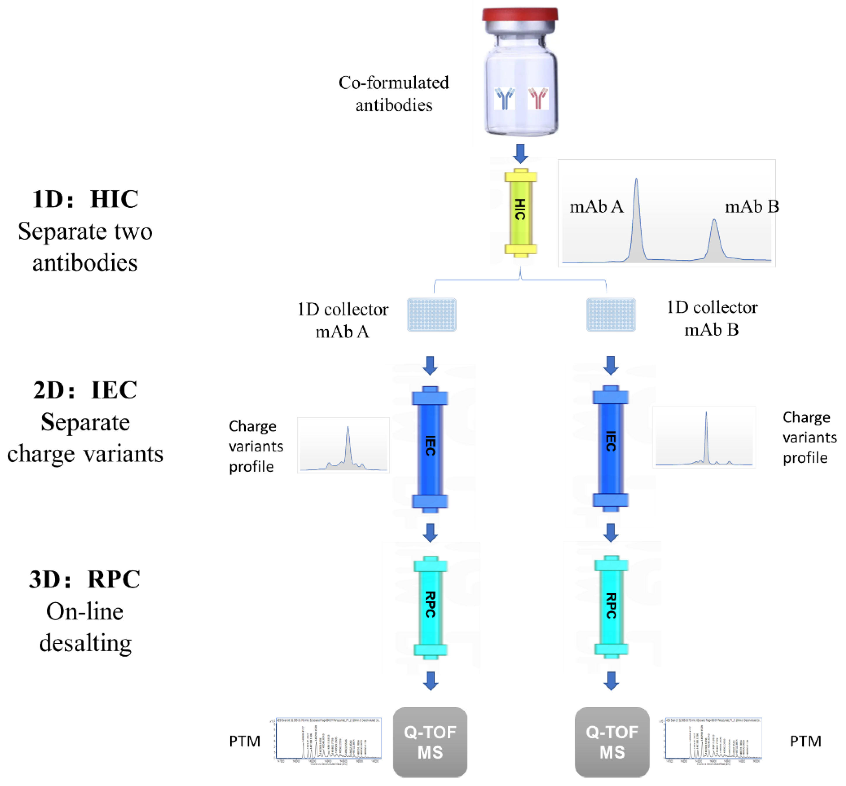 Biomolecules 14 00999 g001