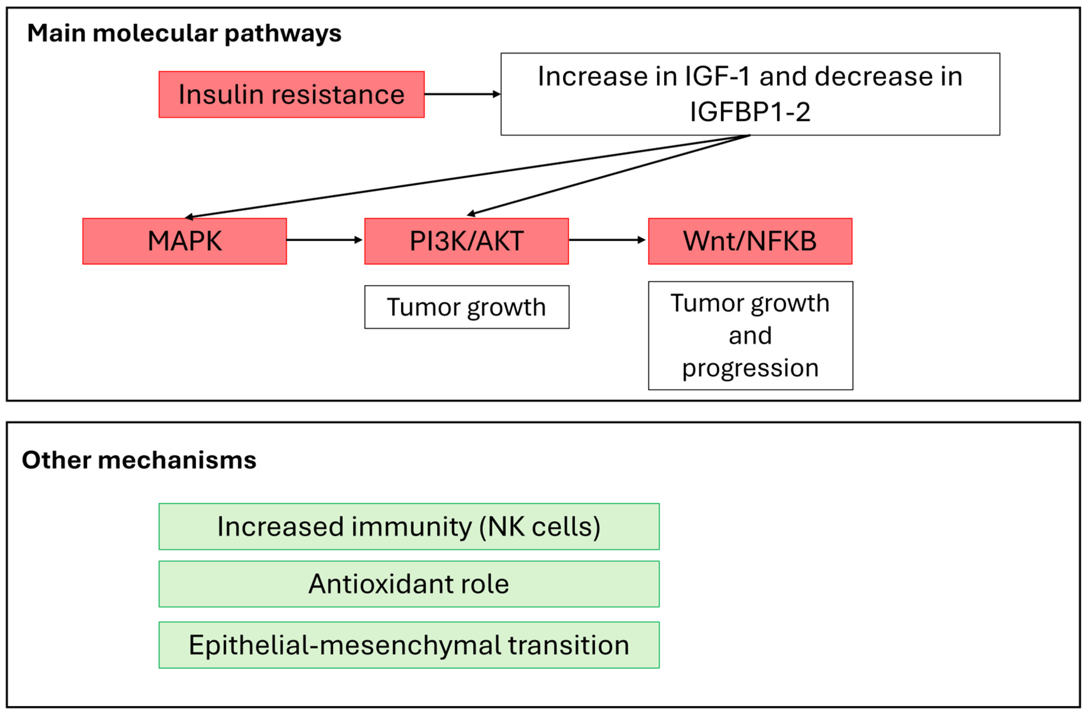 Biomolecules 14 01004 g002