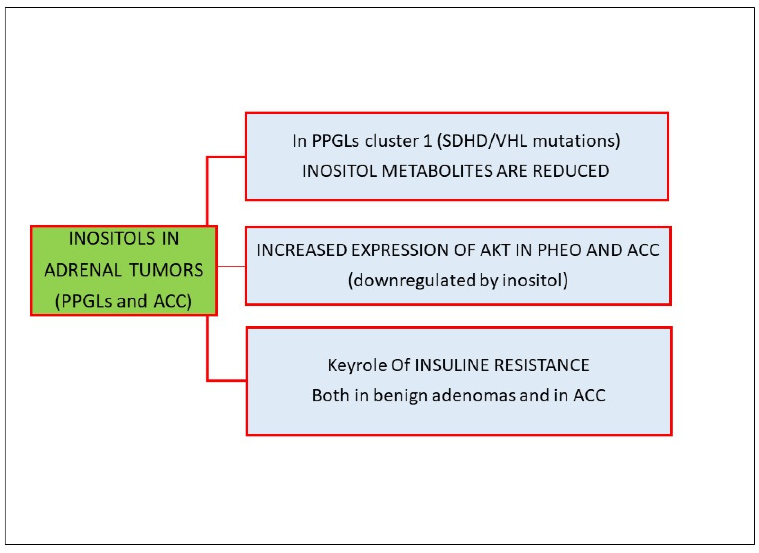 Biomolecules 14 01004 g004