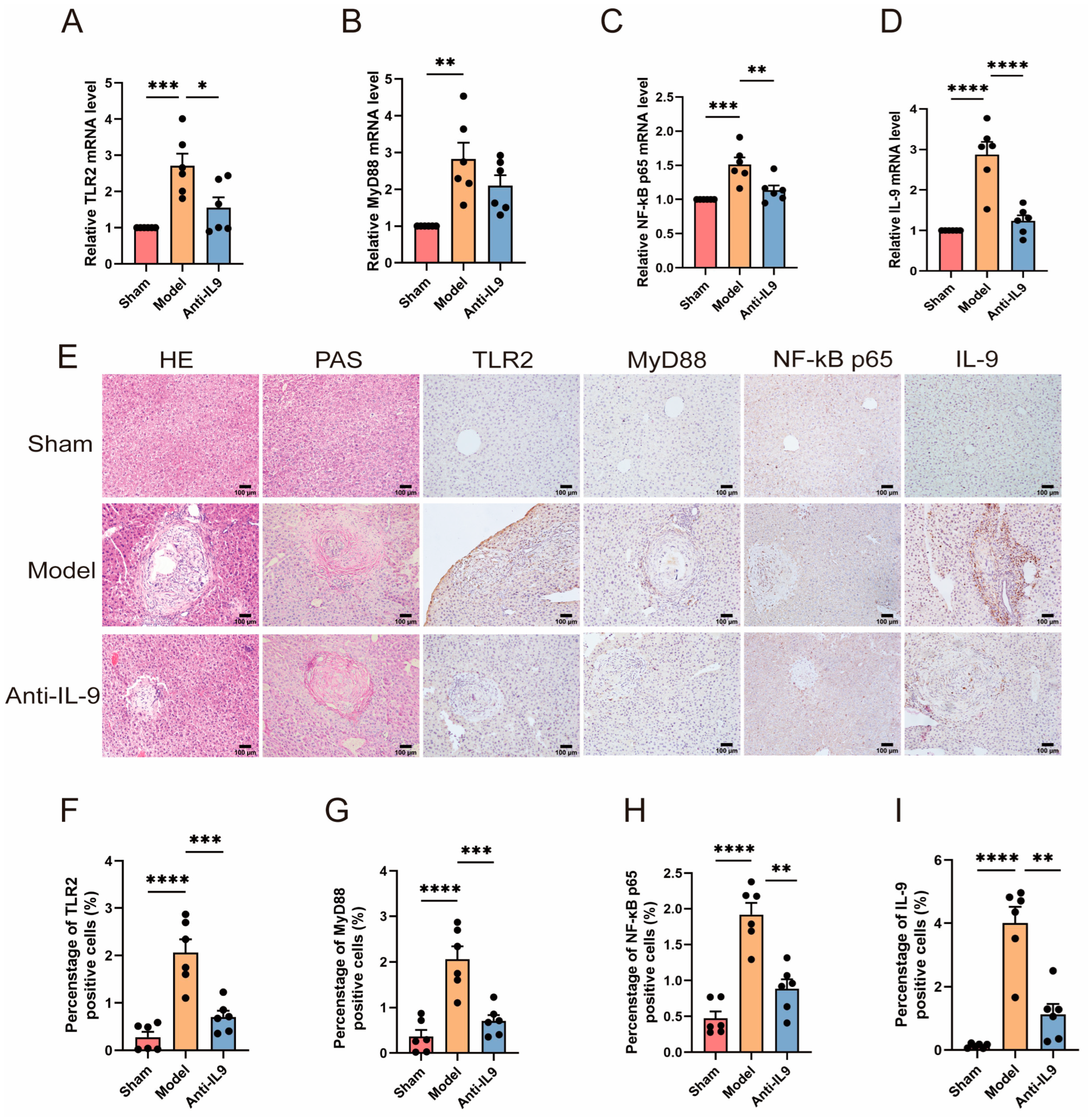 Biomolecules 14 01007 g004