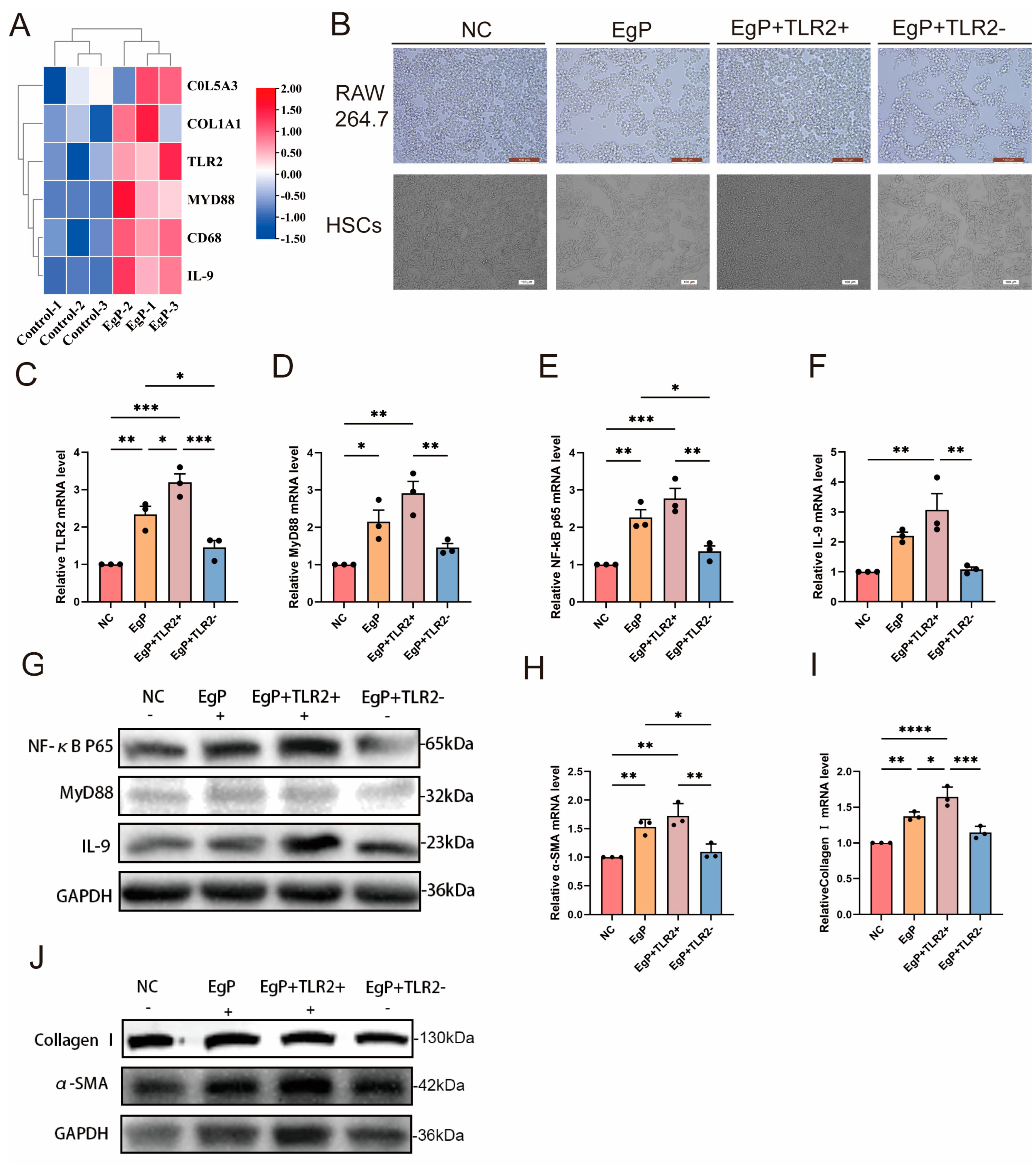 Biomolecules 14 01007 g005