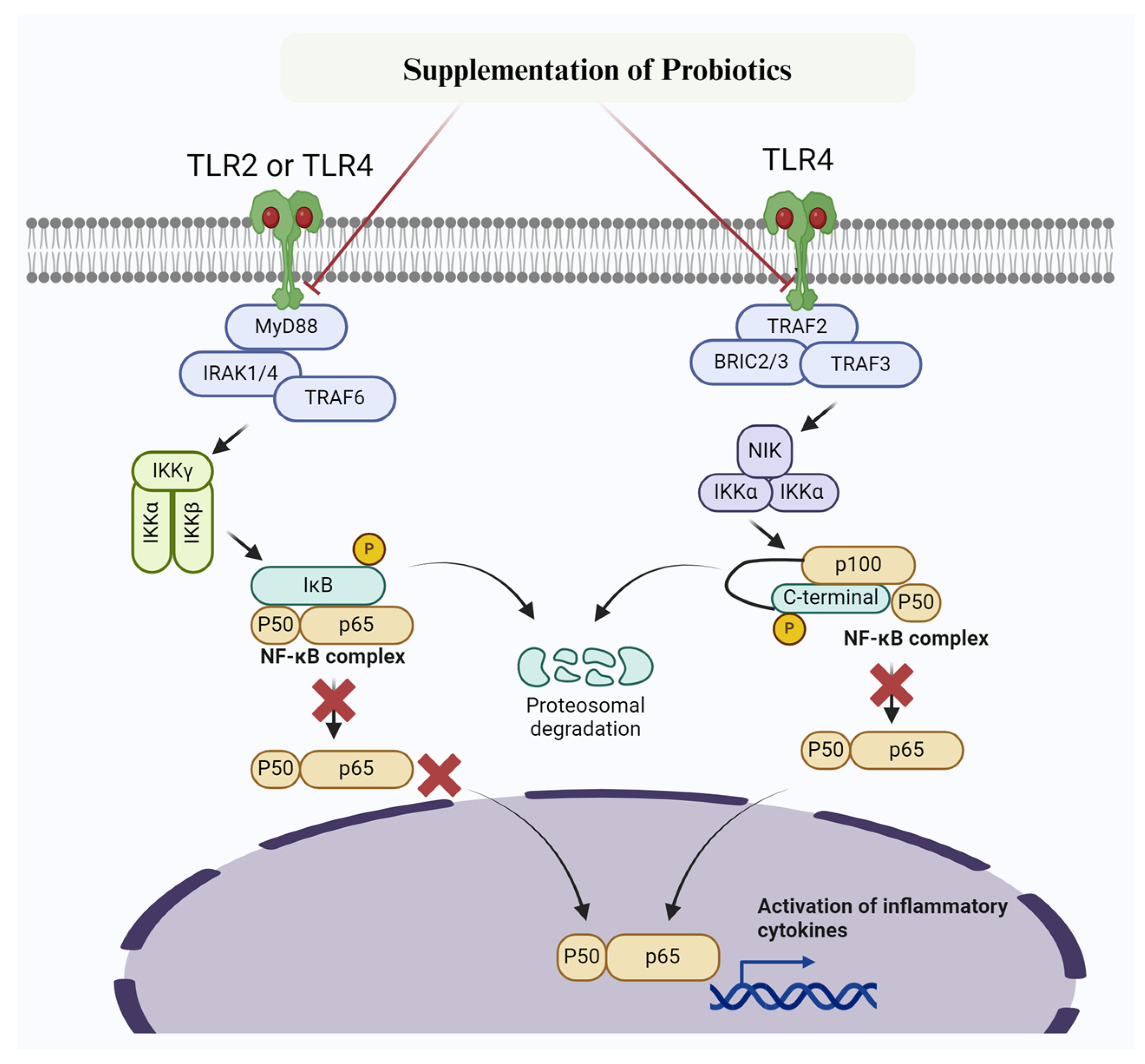 Biomolecules 14 01011 g003