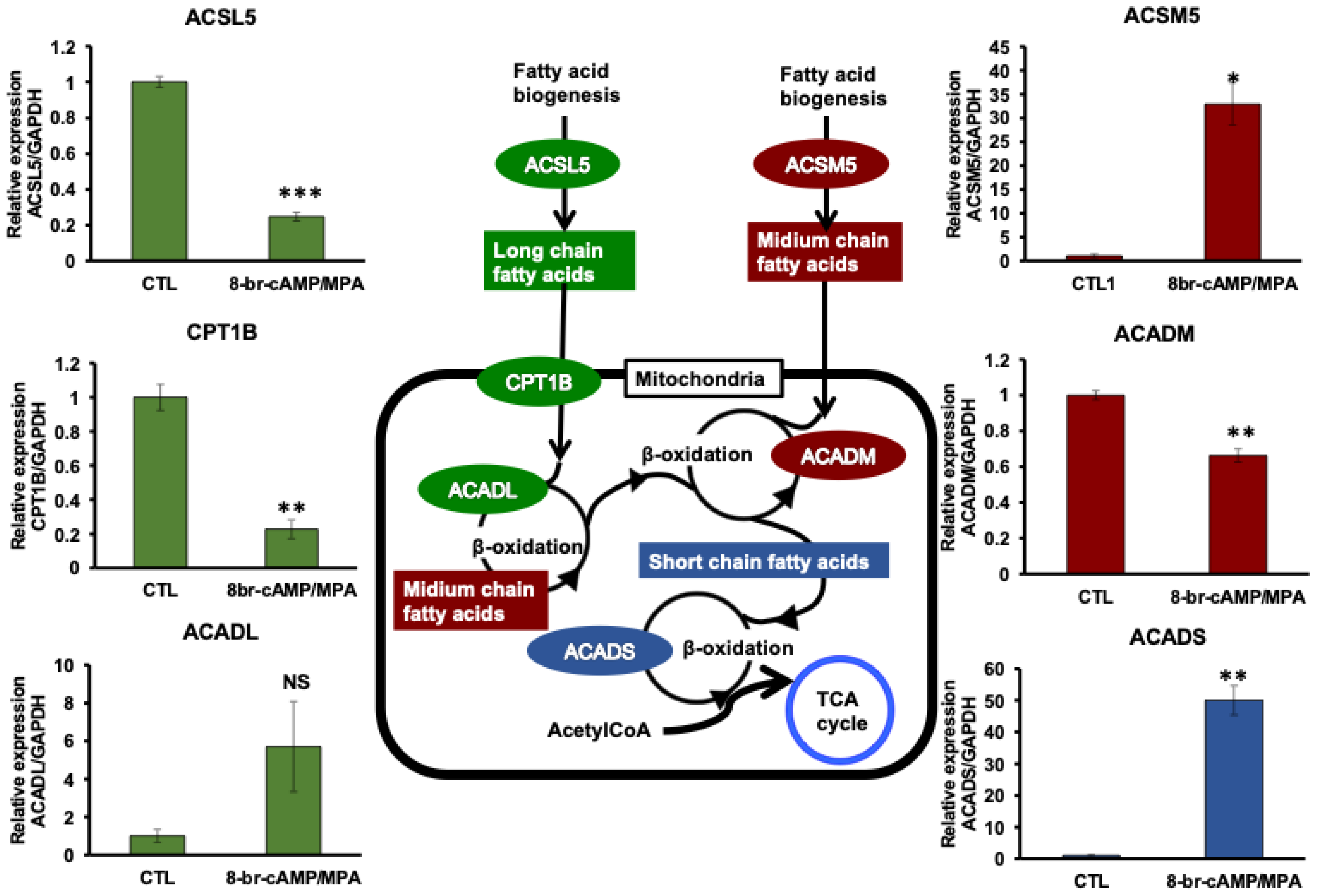 Biomolecules 14 01014 g004