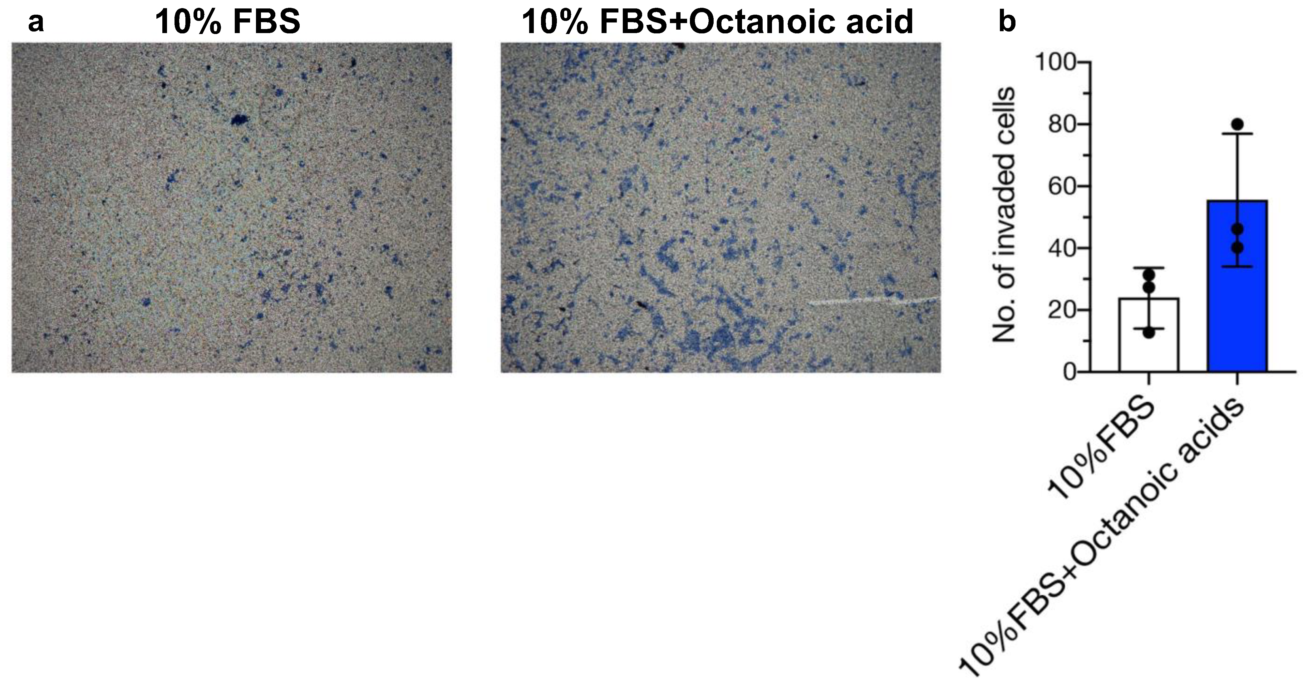Biomolecules 14 01014 g005