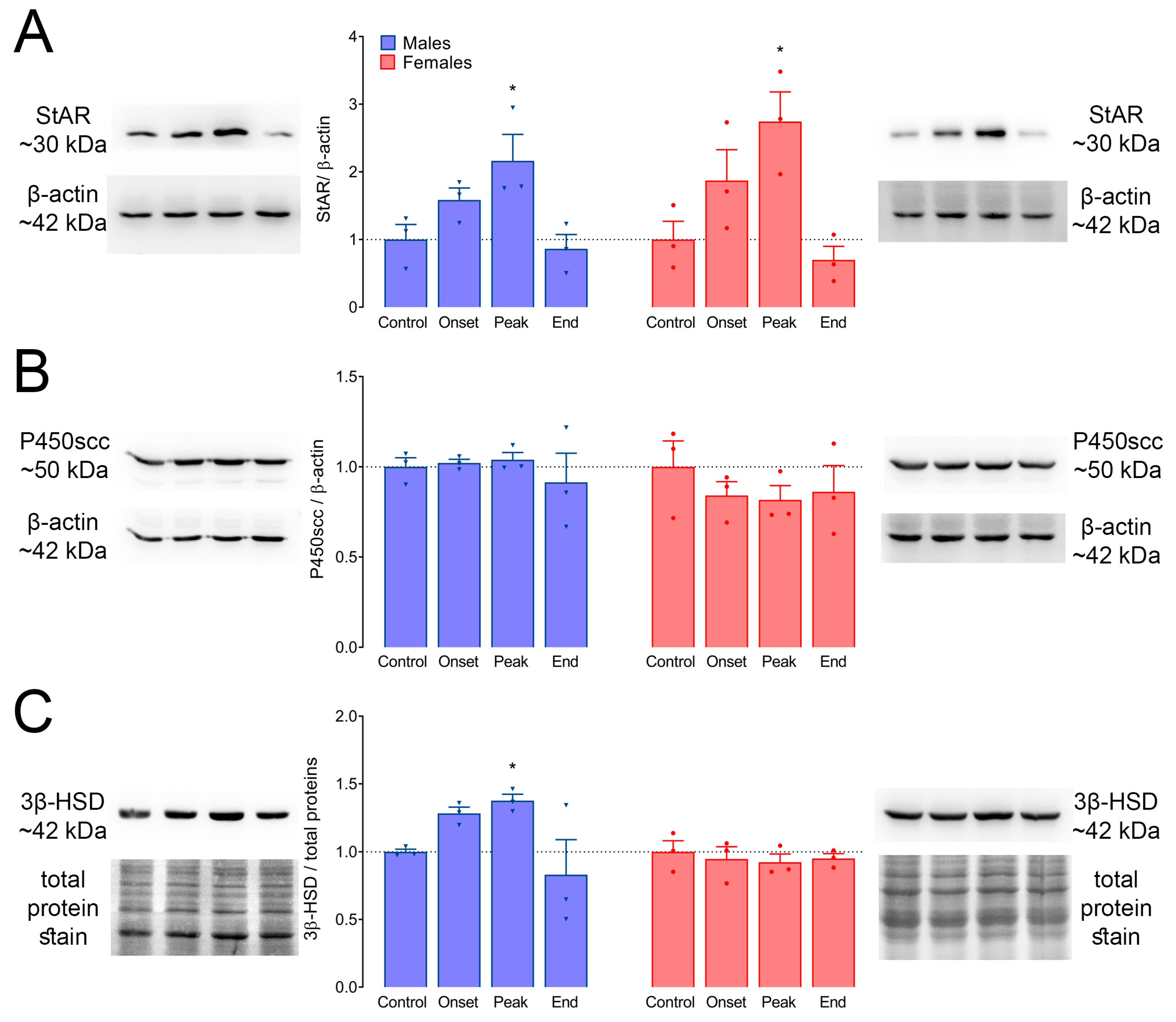 Biomolecules 14 01020 g006 Biomolecules 14 01020 g006