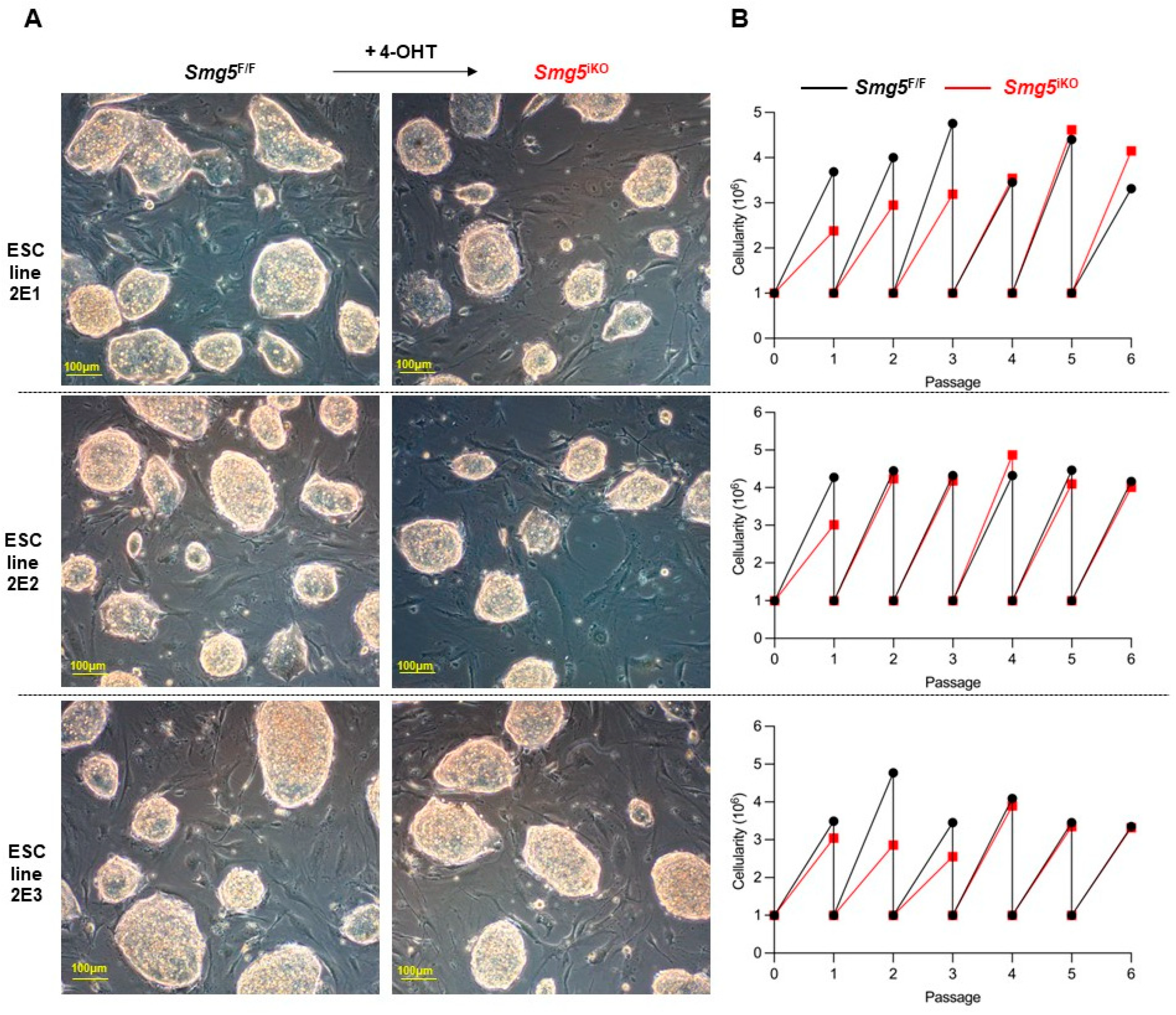 Biomolecules 14 01023 g003