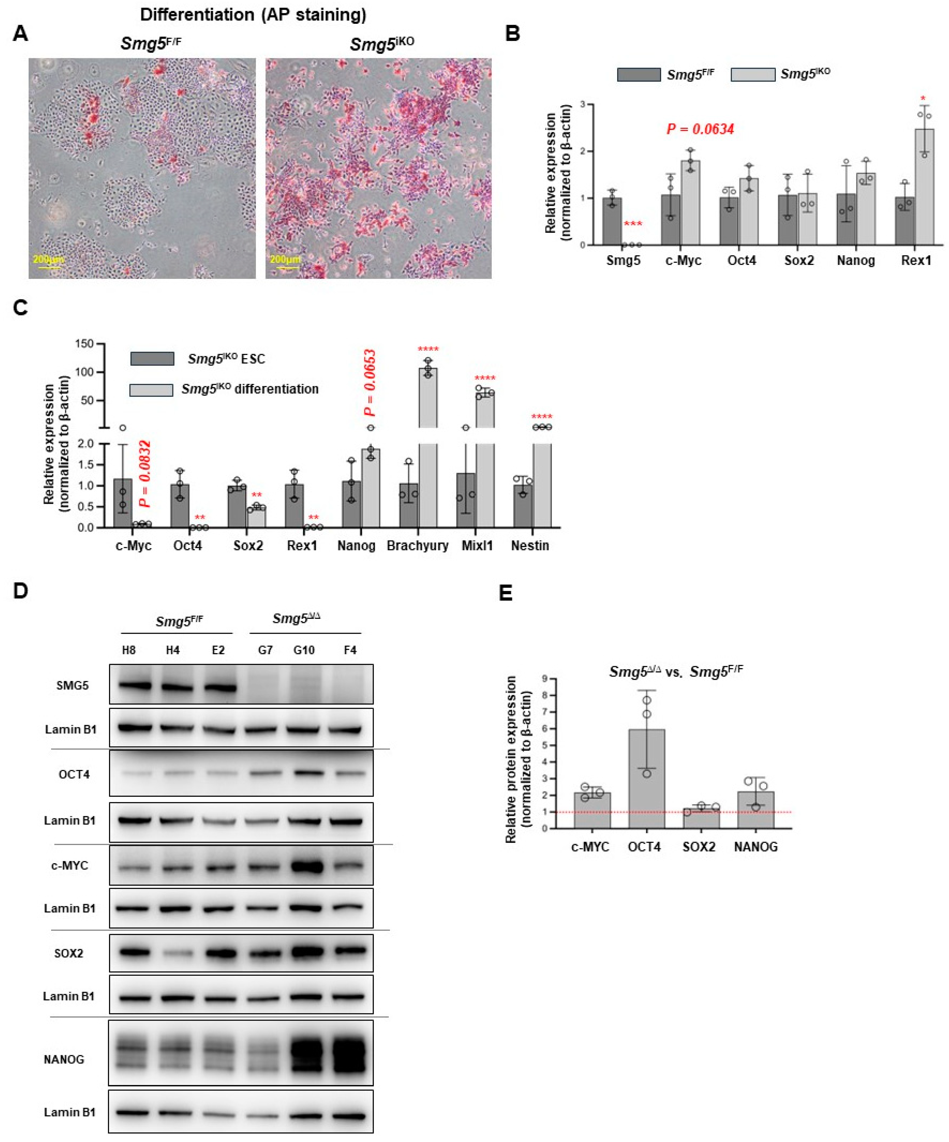 Biomolecules 14 01023 g005