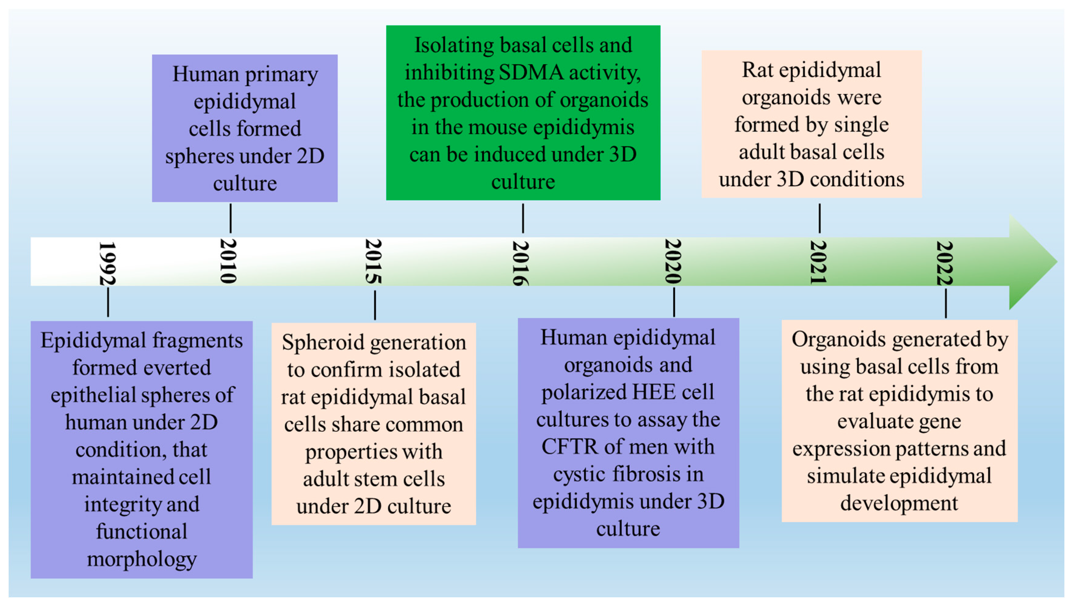 Biomolecules 14 01026 g002 Biomolecules 14 01026 g002