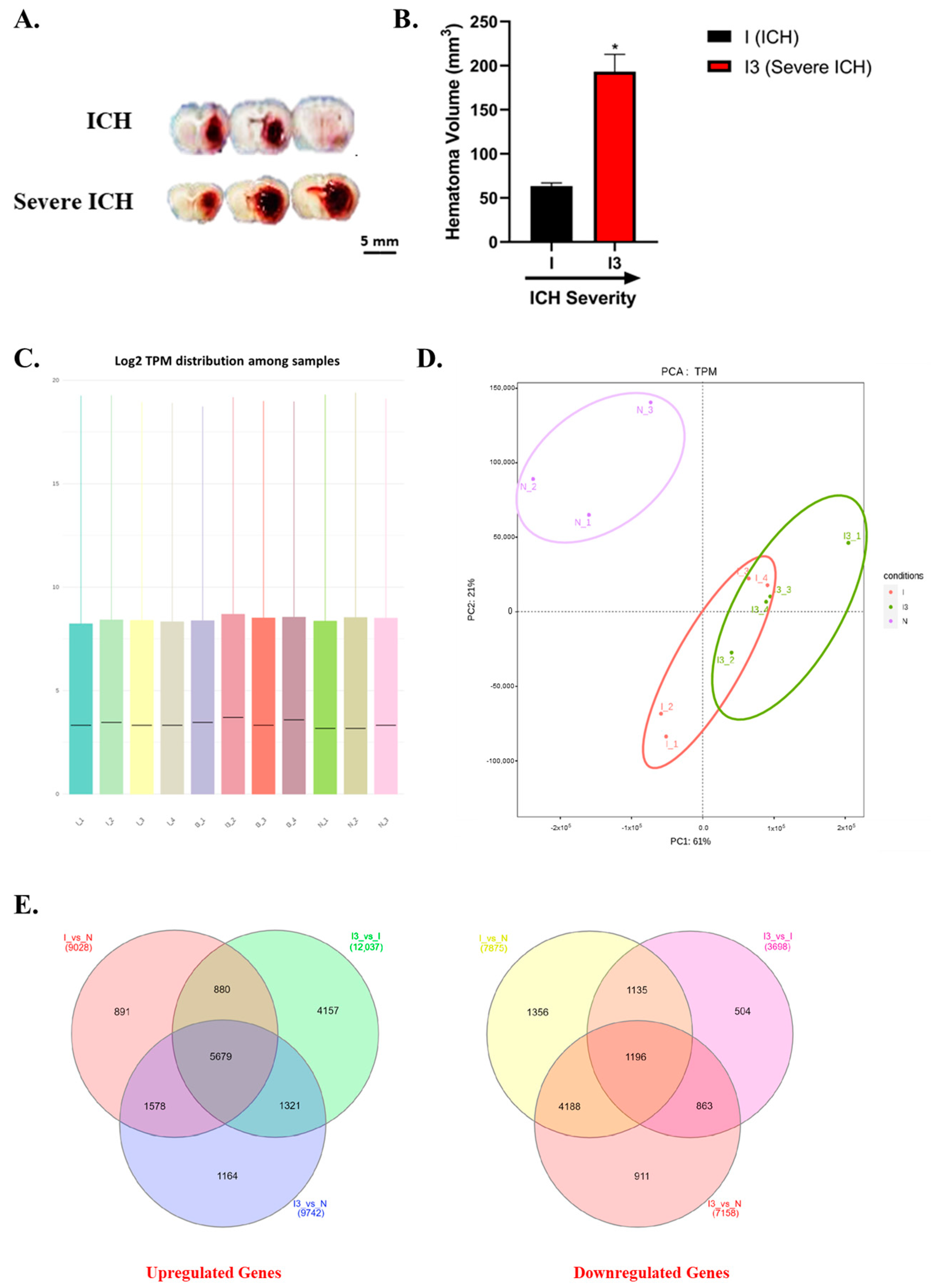 Biomolecules 14 01034 g001