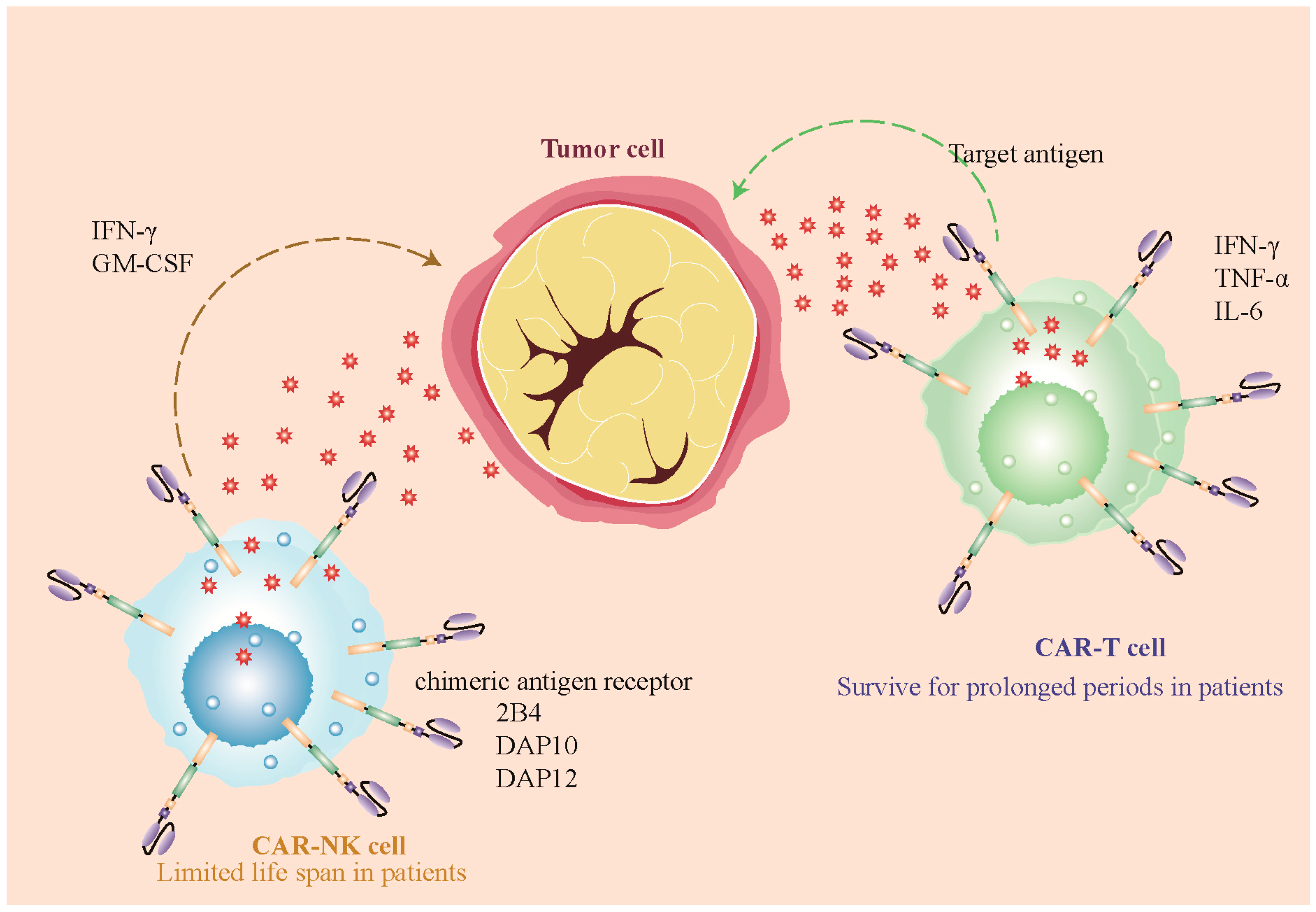 Biomolecules 14 01035 g002