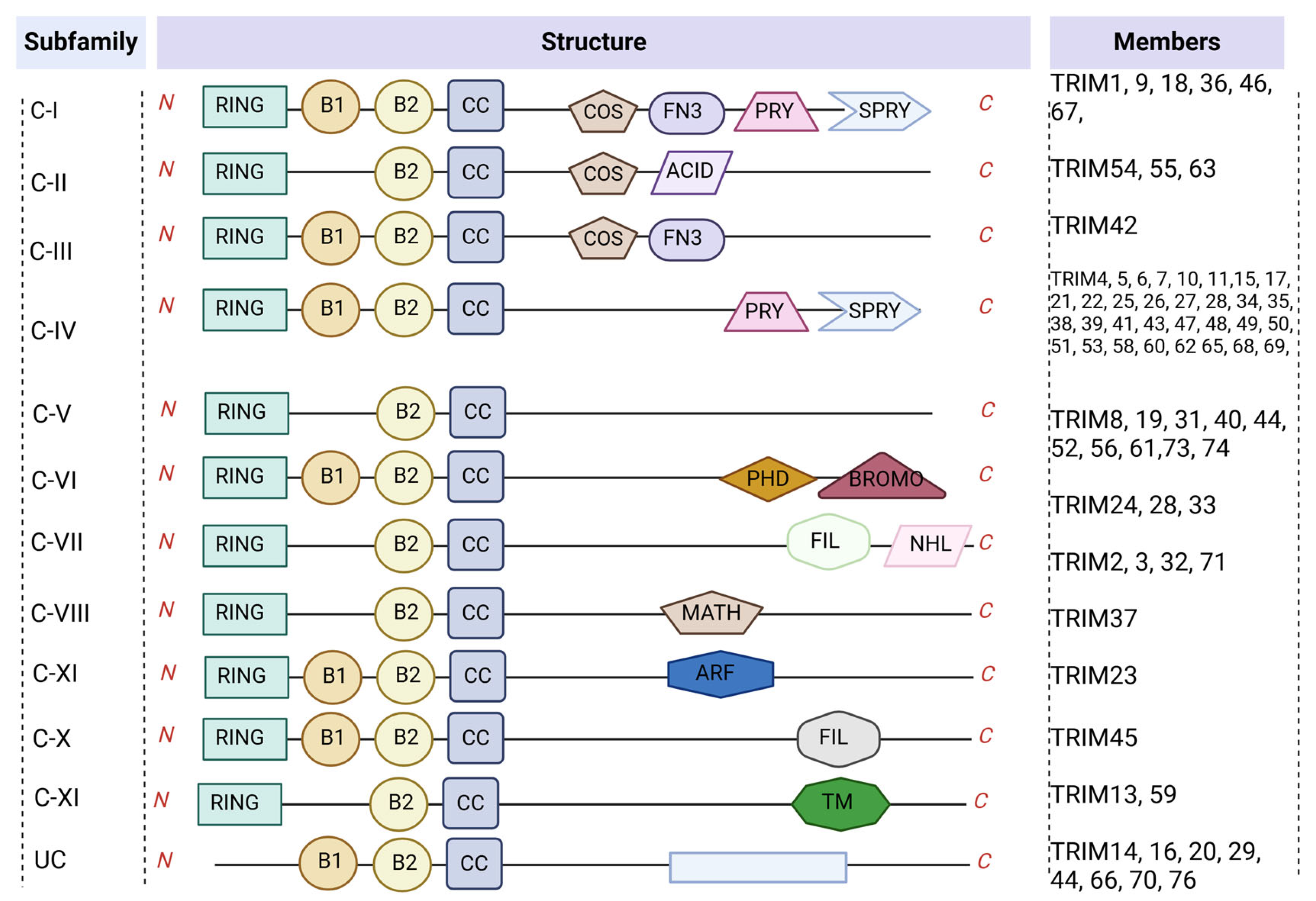 Biomolecules 14 01038 g001