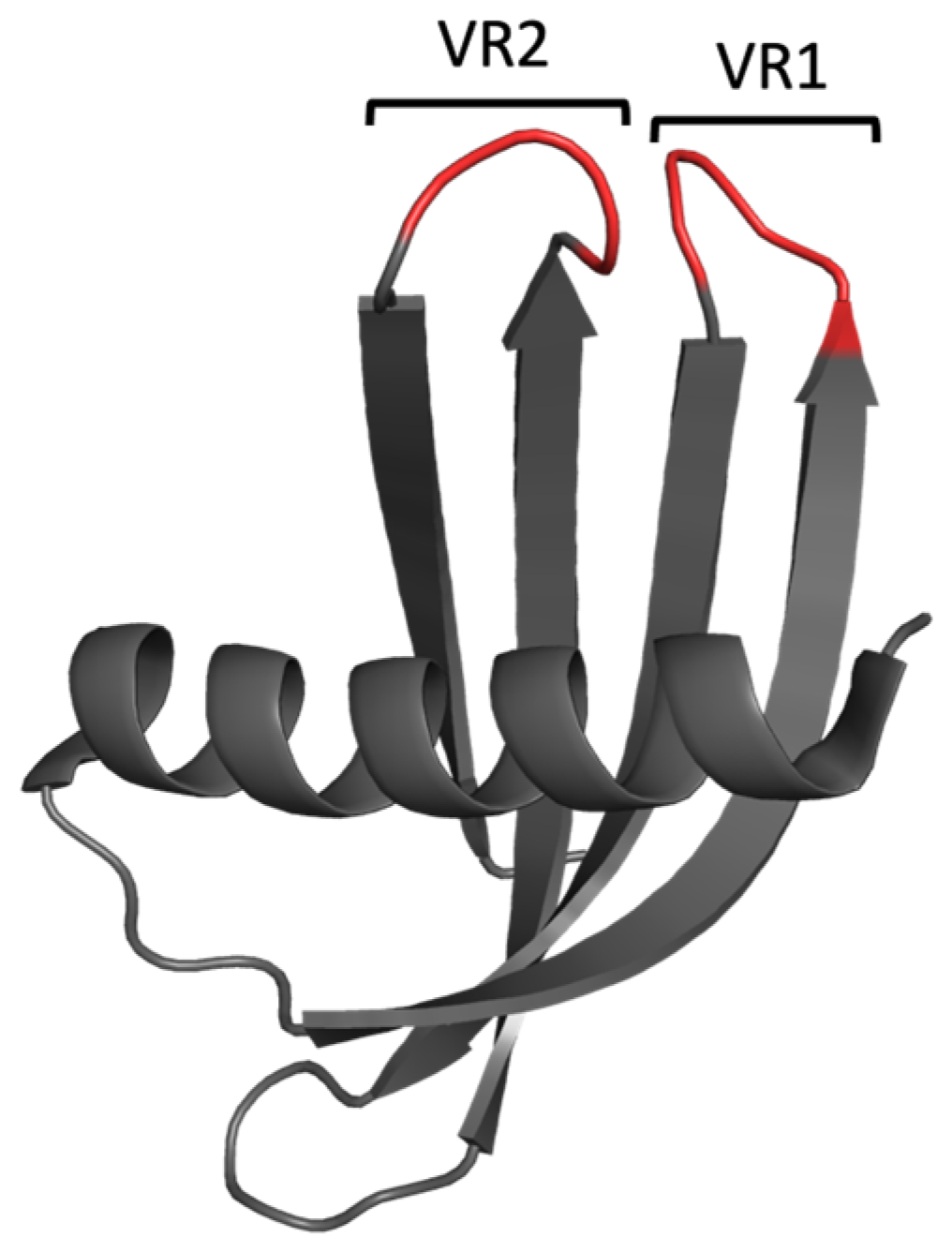 Biomolecules 14 01040 g003