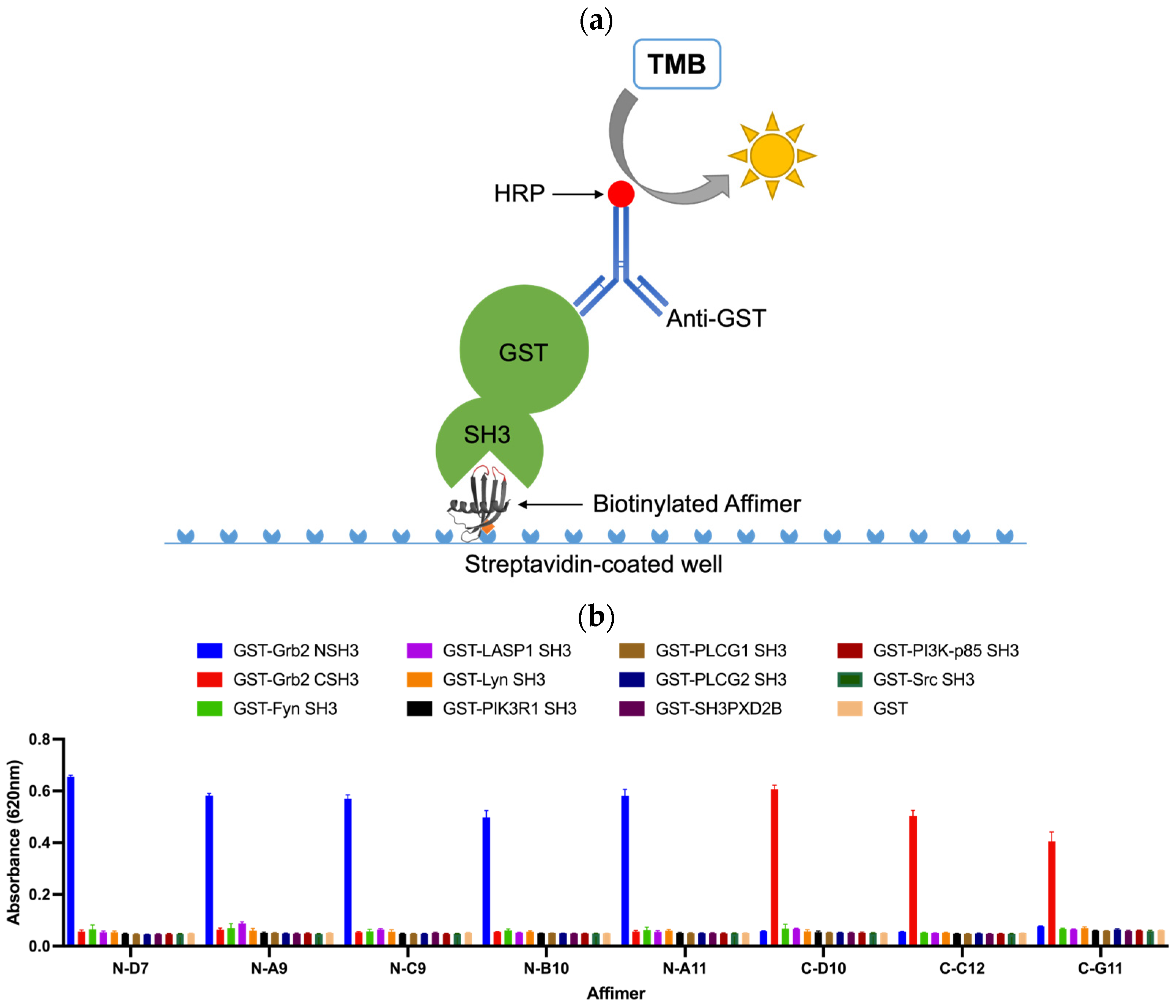 Biomolecules 14 01040 g007
