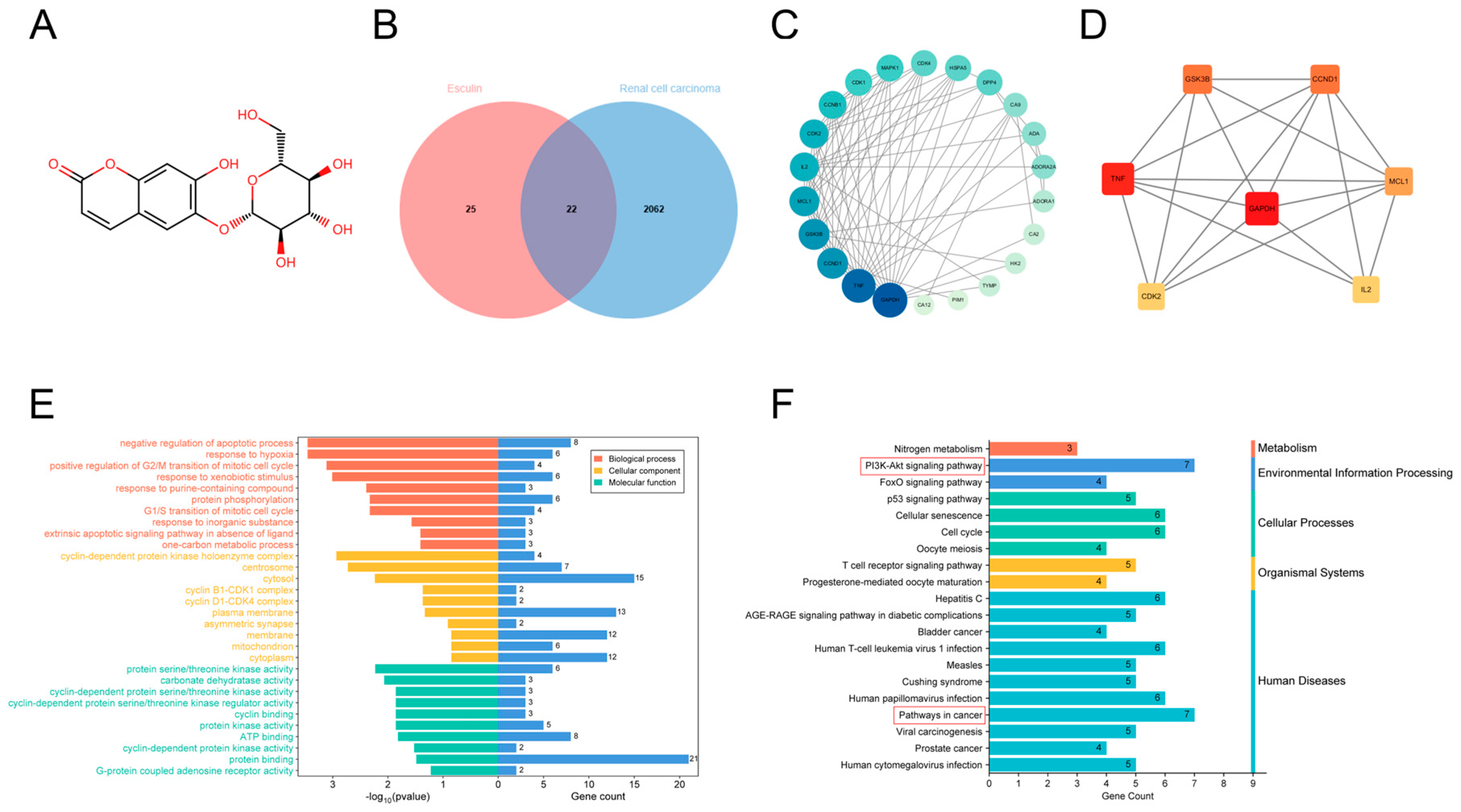 Biomolecules 14 01043 g001