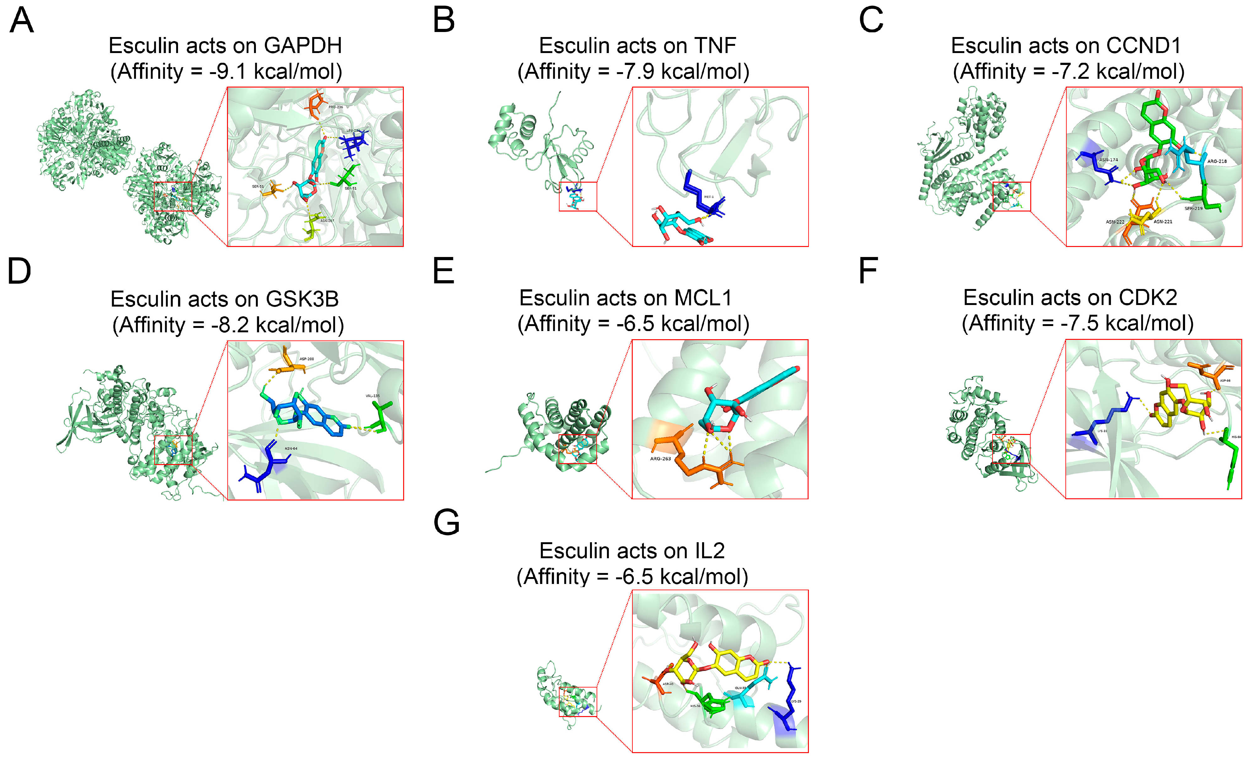 Biomolecules 14 01043 g002