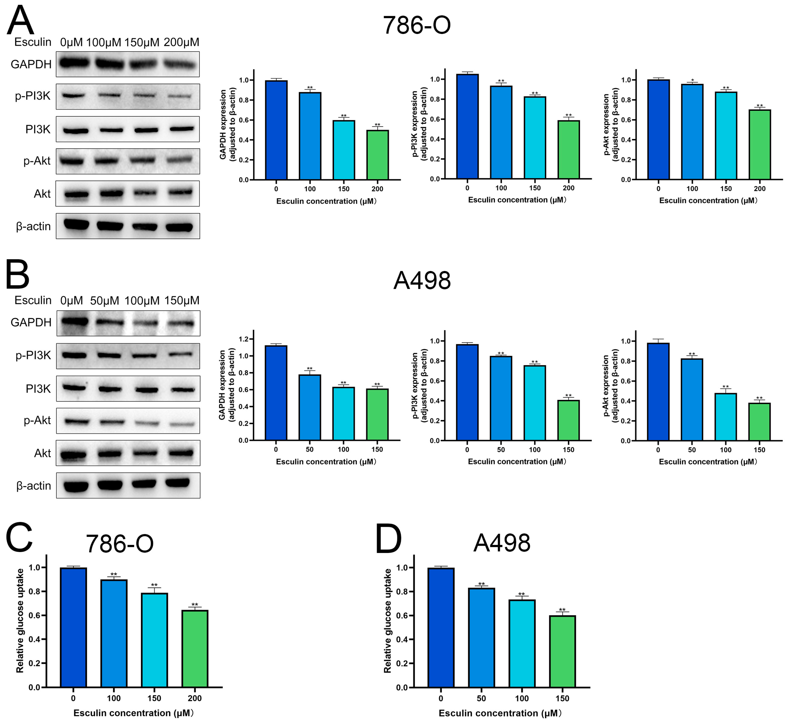 Biomolecules 14 01043 g006