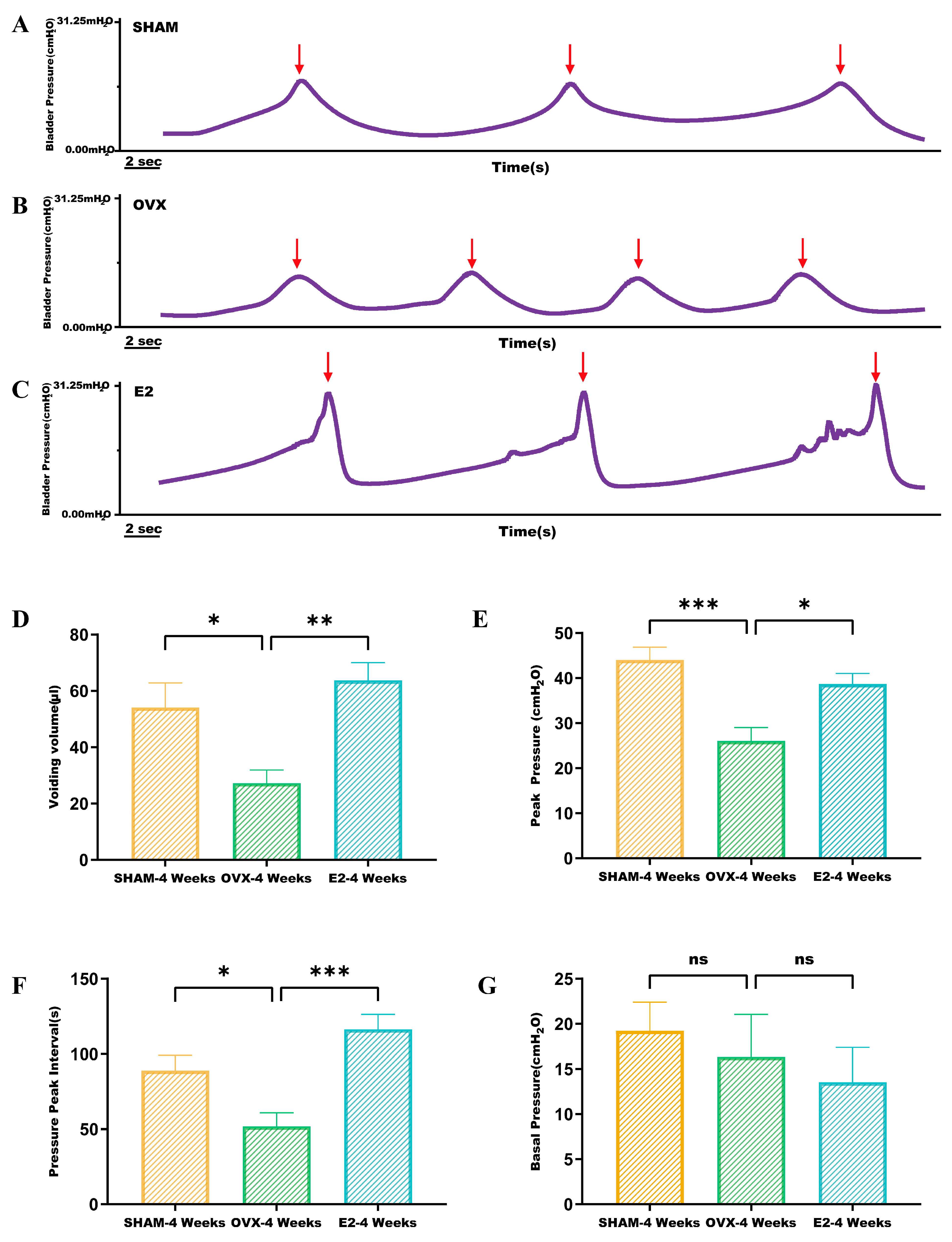 Biomolecules 14 01044 g003