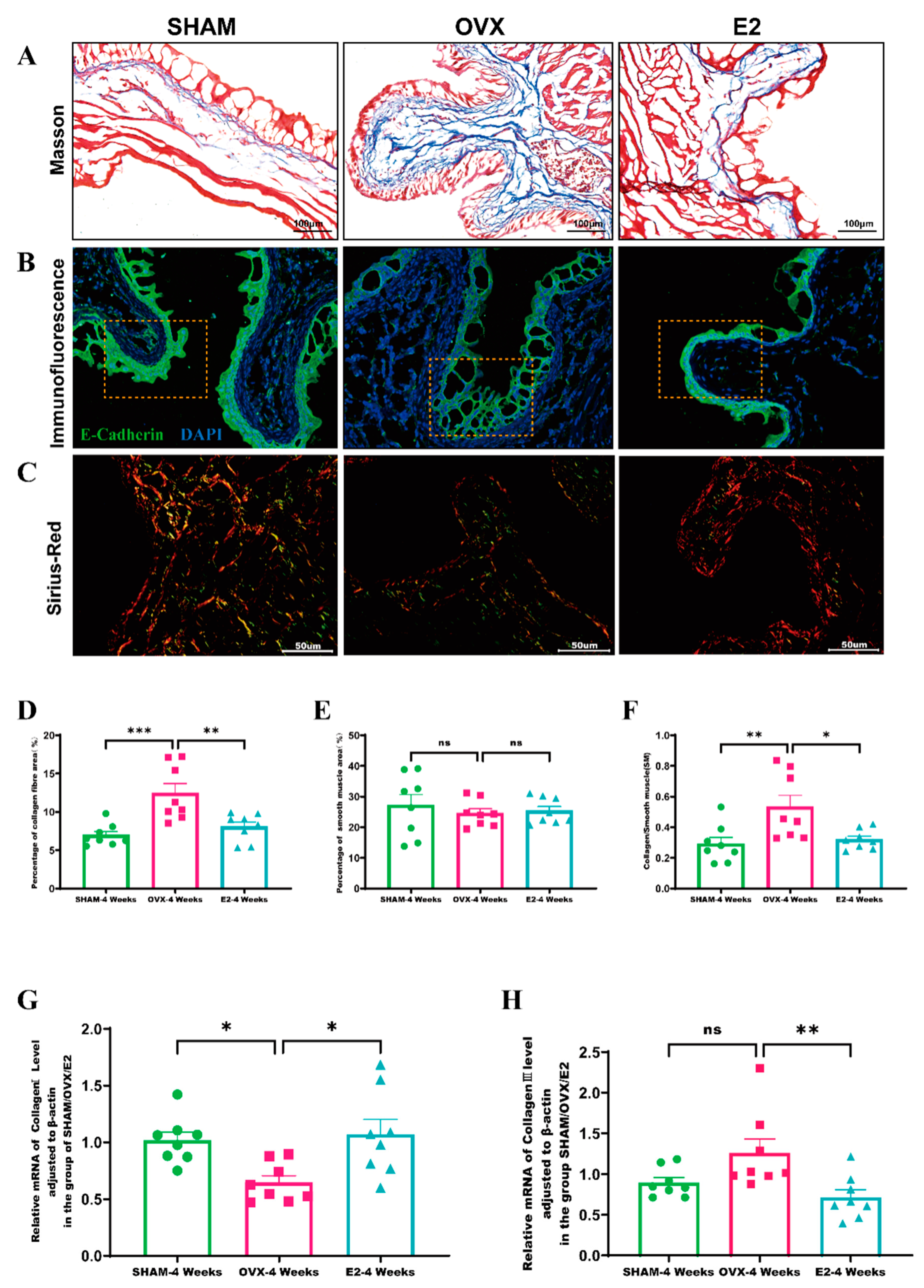 Biomolecules 14 01044 g004