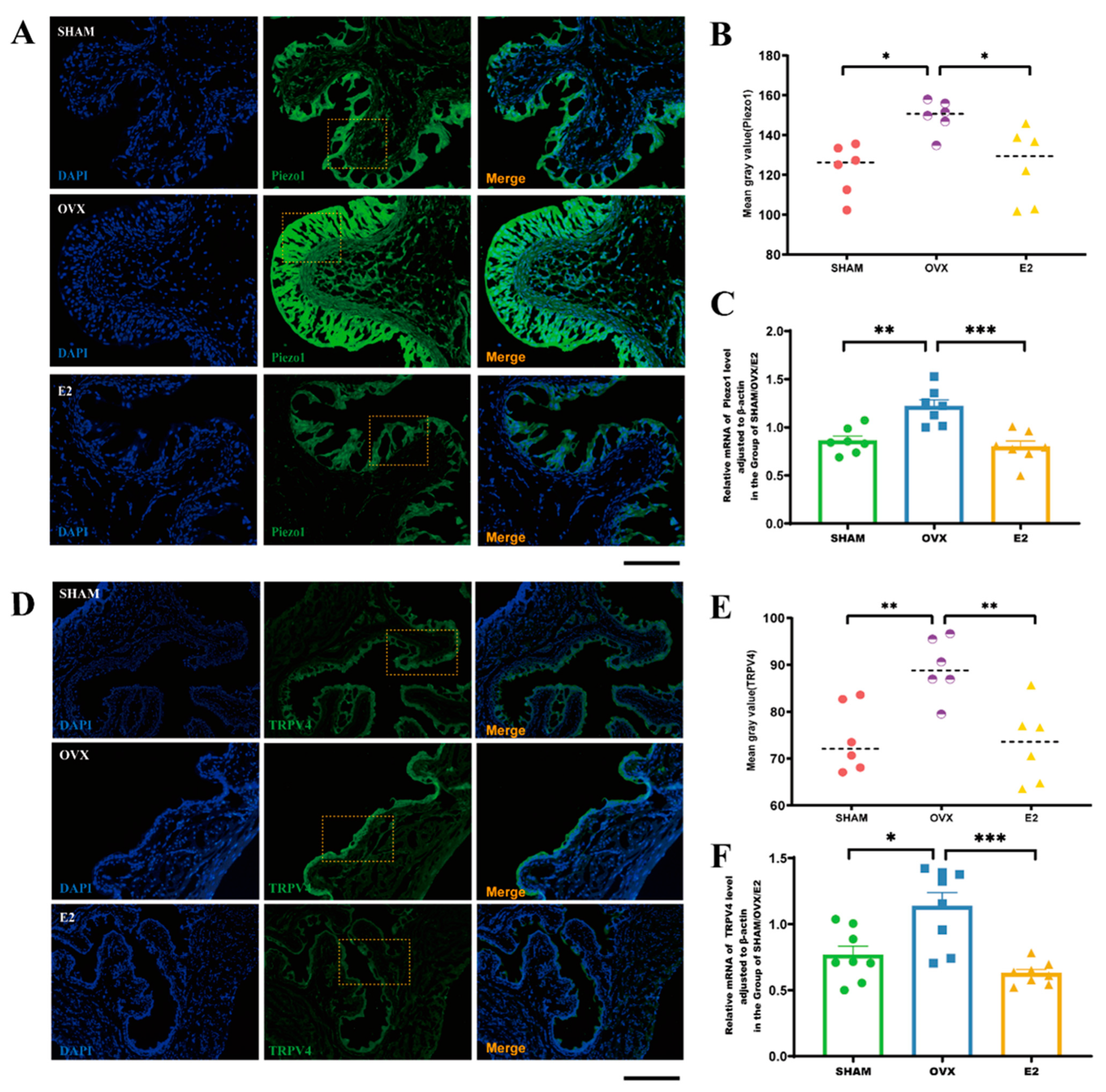 Biomolecules 14 01044 g005