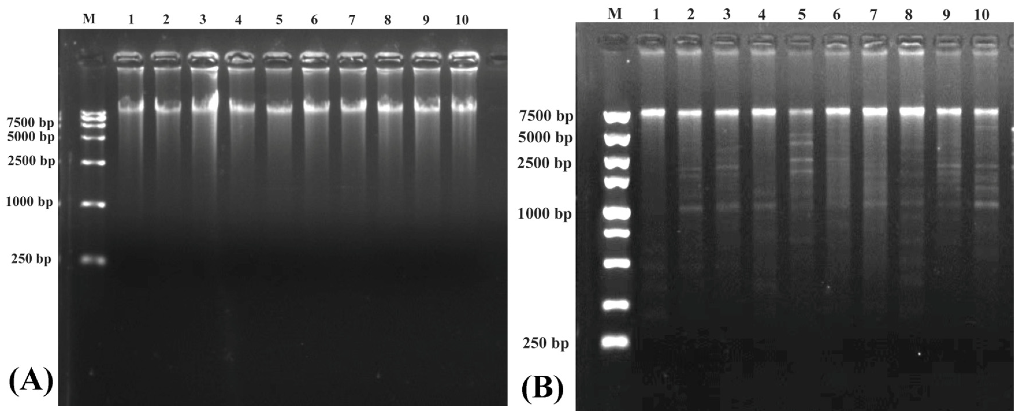 Biomolecules 14 01045 g002