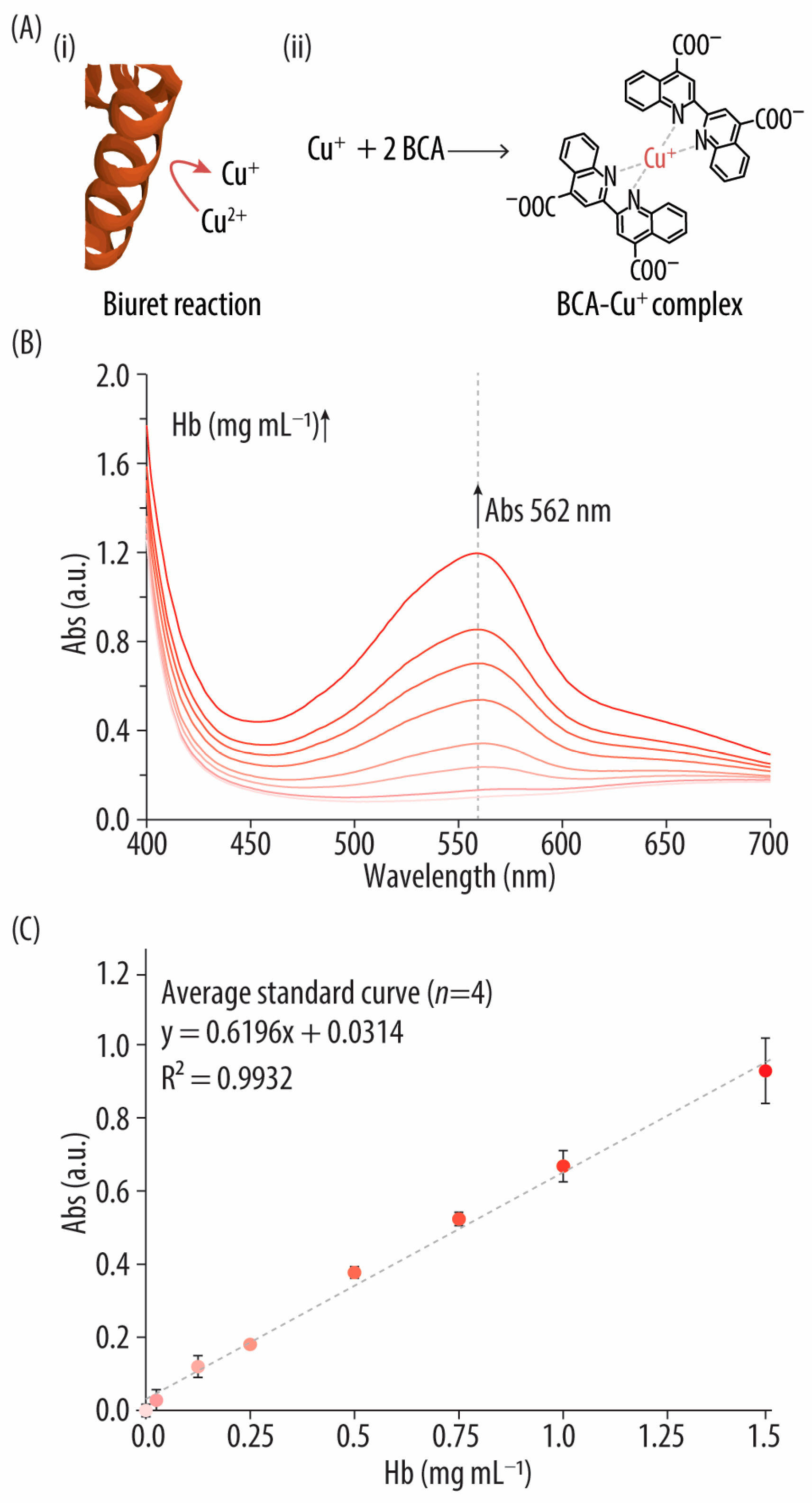 Biomolecules 14 01046 g001 Biomolecules 14 01046 g001