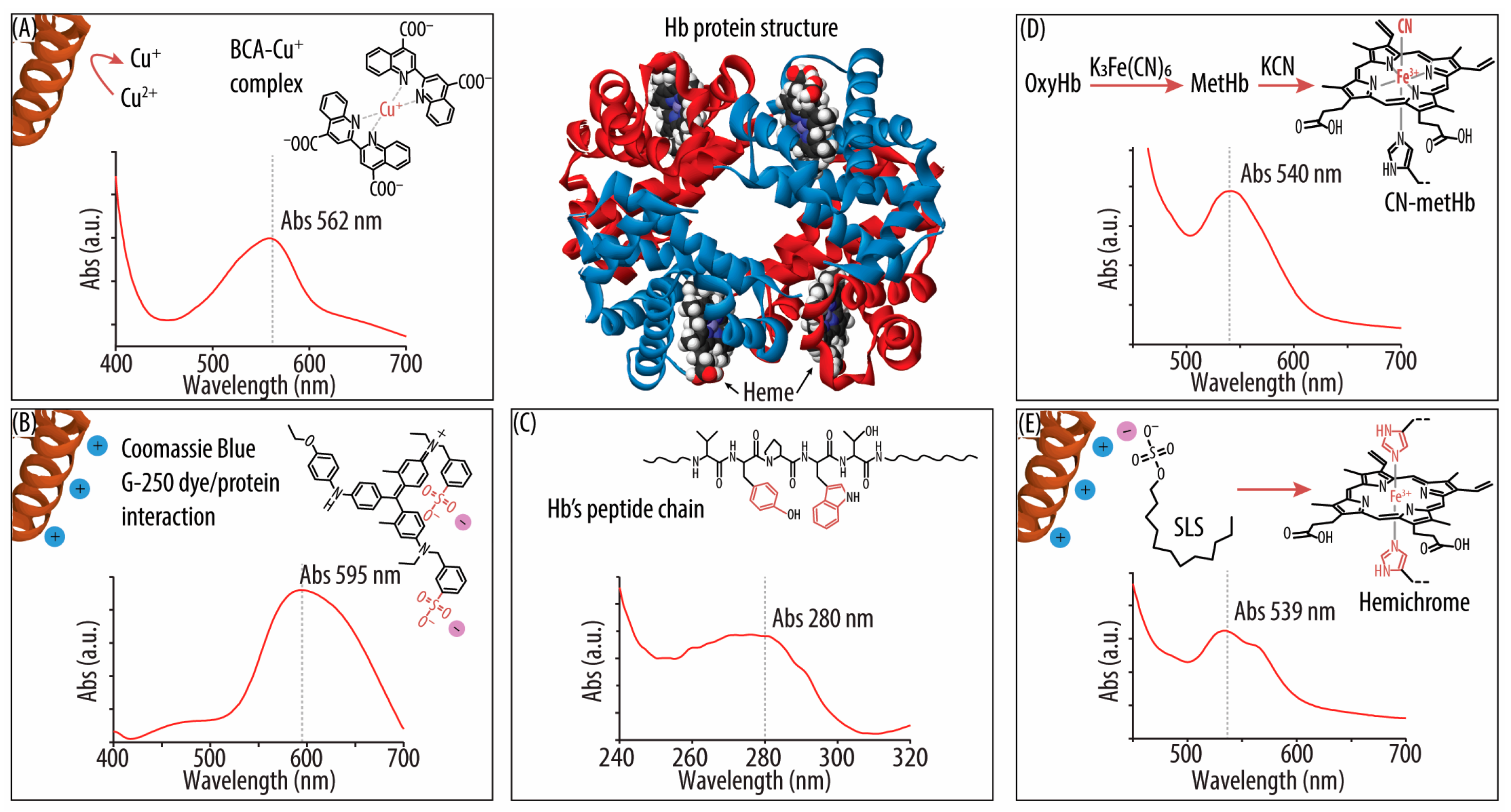 Biomolecules 14 01046 sch001 Biomolecules 14 01046 sch001