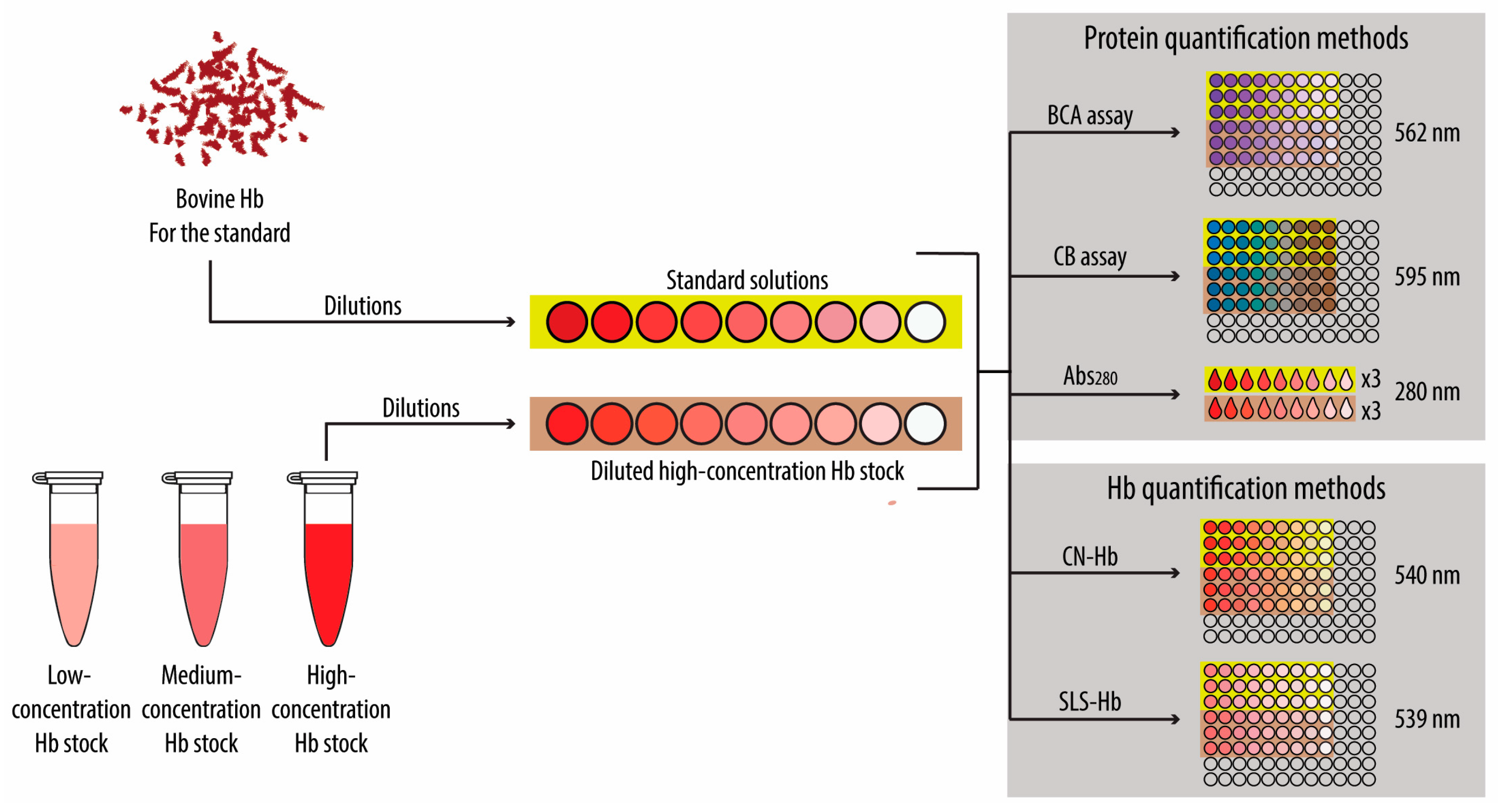 Biomolecules 14 01046 sch002 Biomolecules 14 01046 sch002