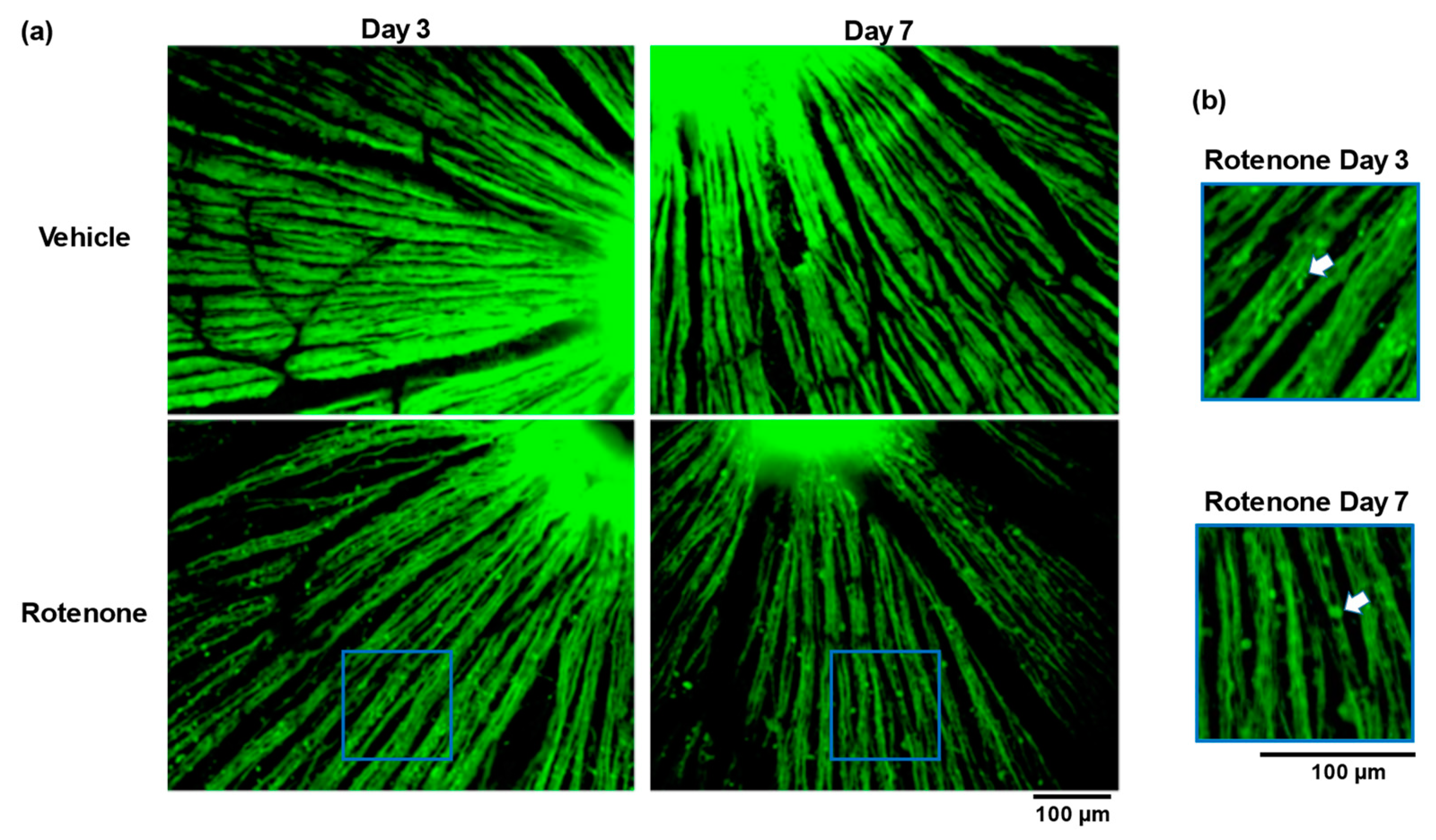 Biomolecules 14 01047 g003