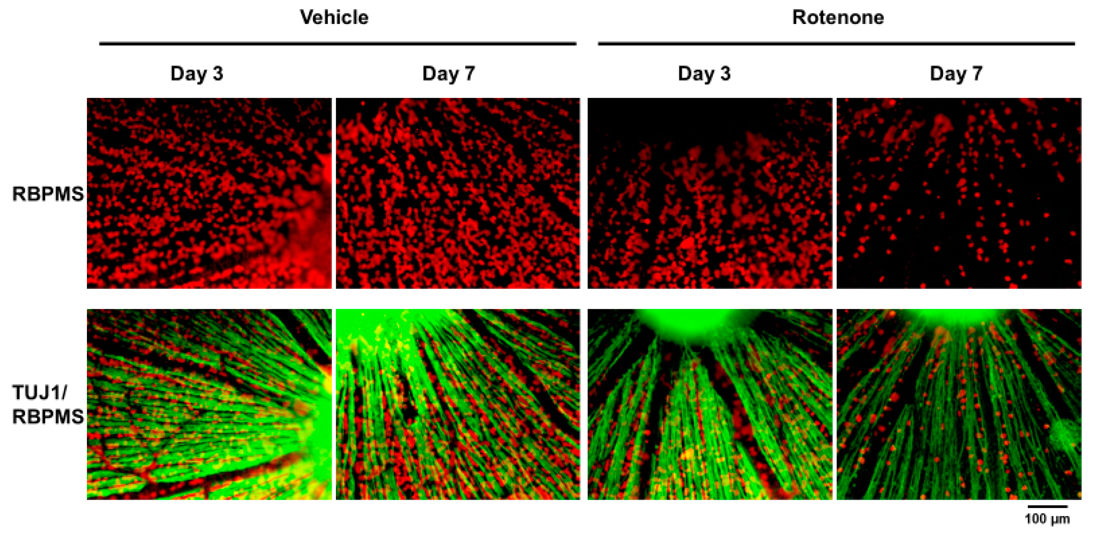 Biomolecules 14 01047 g004