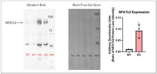 Biomolecules 14 01048 g002
