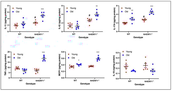 Biomolecules 14 01048 g004