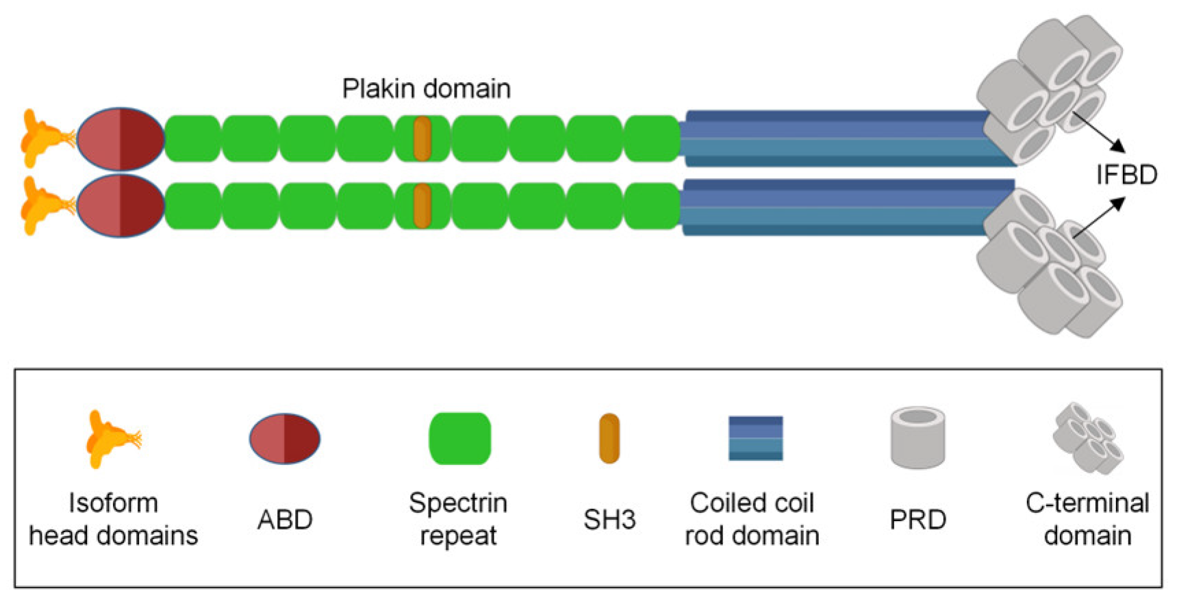 Biomolecules 14 01050 g001