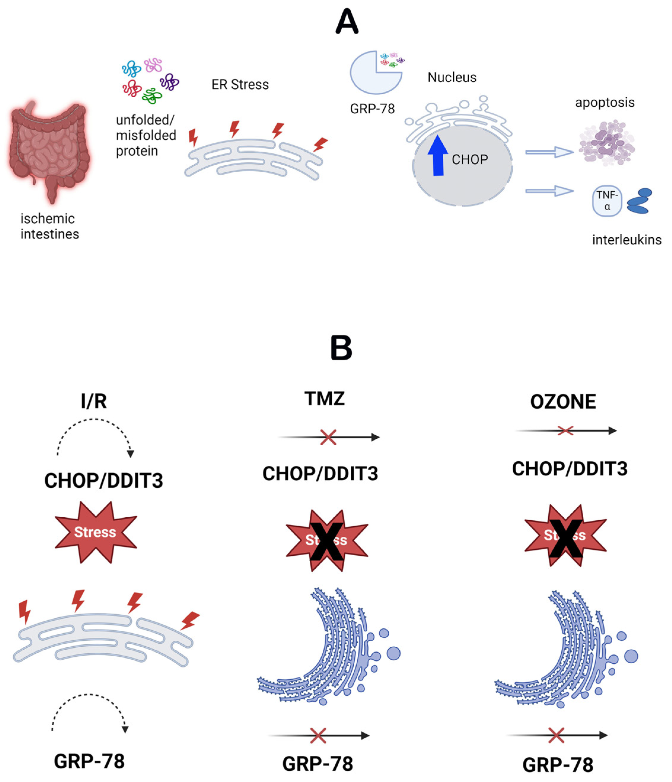 Biomolecules 14 01051 g005 Biomolecules 14 01051 g005