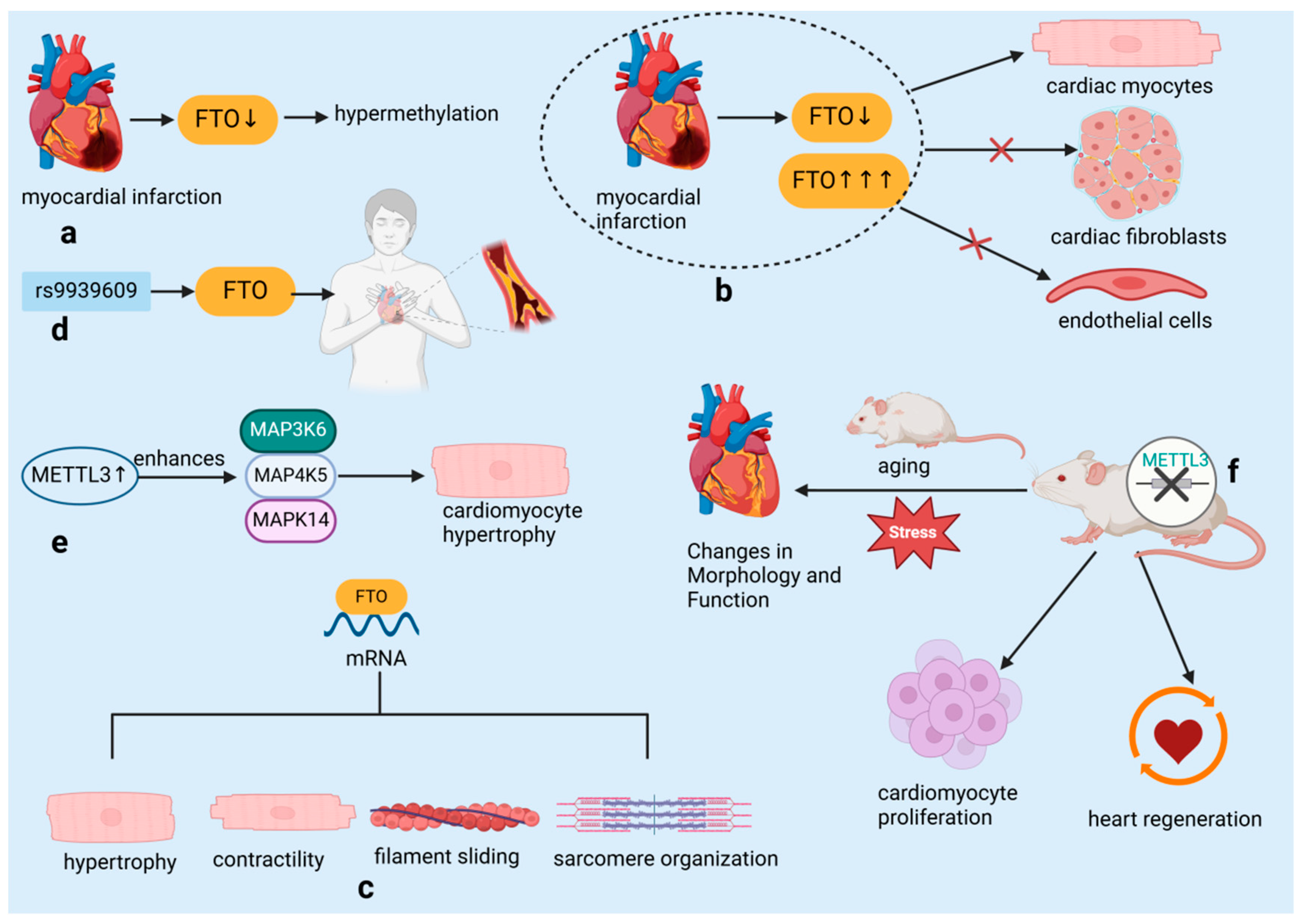 Biomolecules 14 01056 g004
