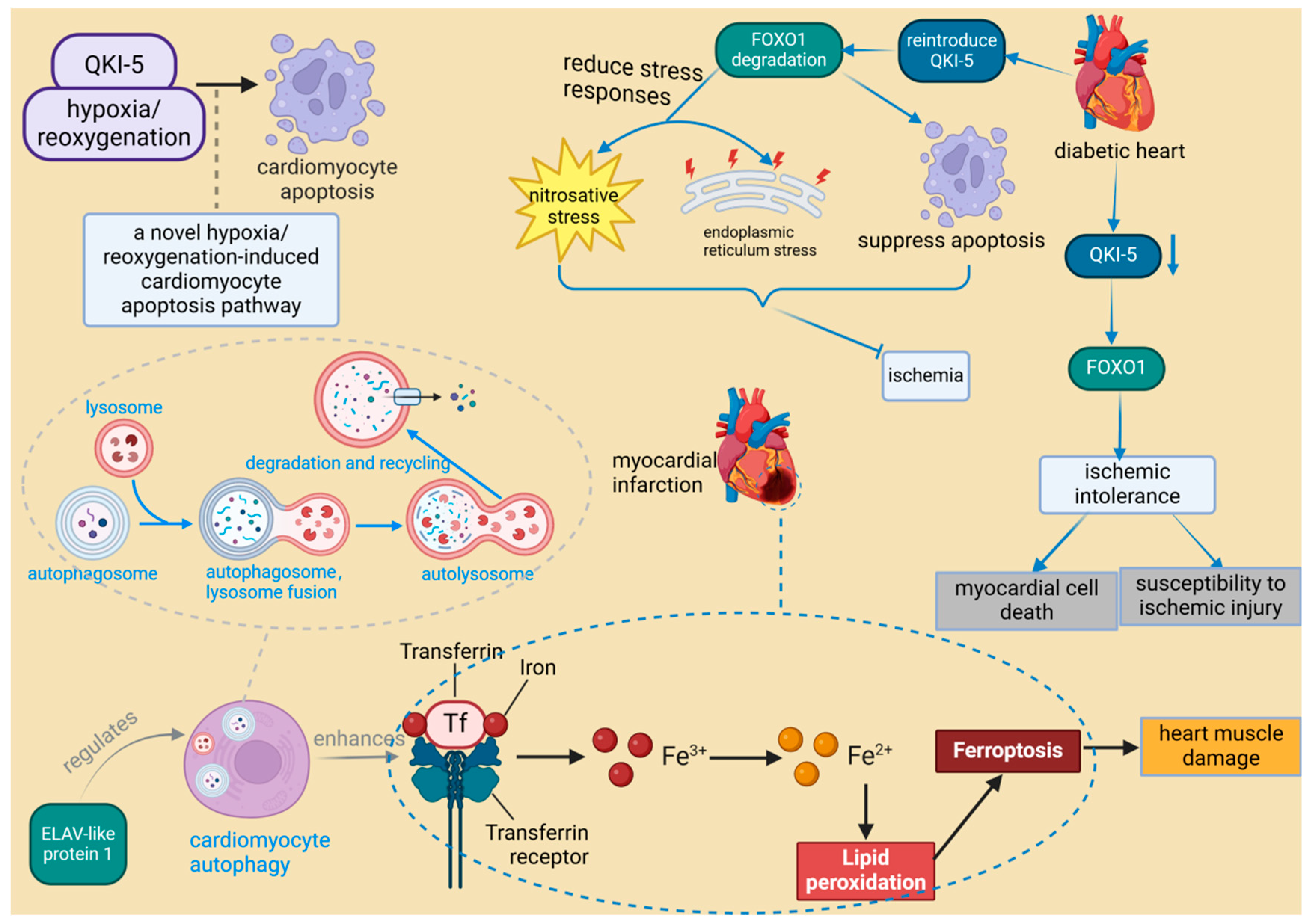 Biomolecules 14 01056 g006