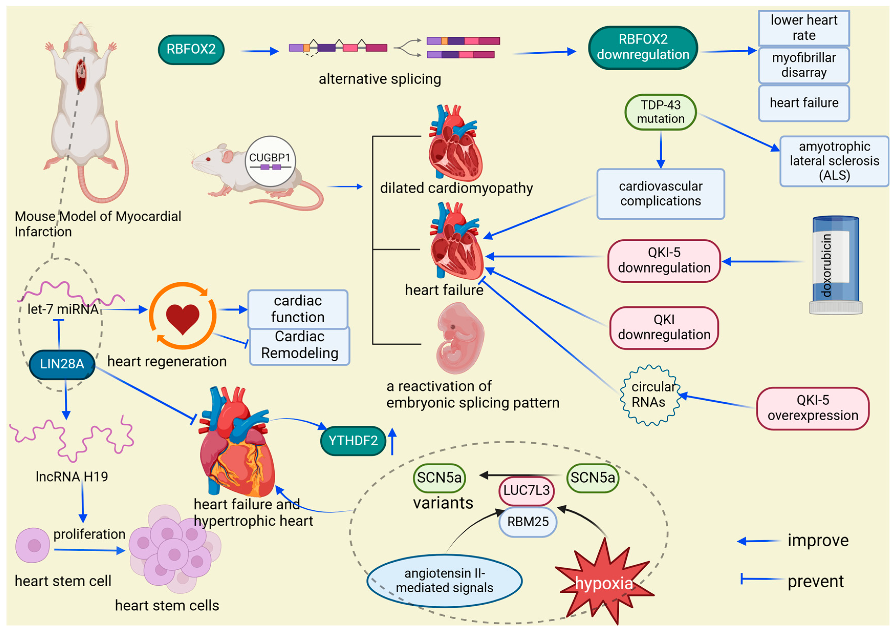Biomolecules 14 01056 g008
