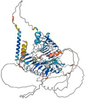 Biomolecules 14 01060 i004