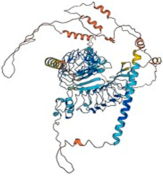 Biomolecules 14 01060 i006
