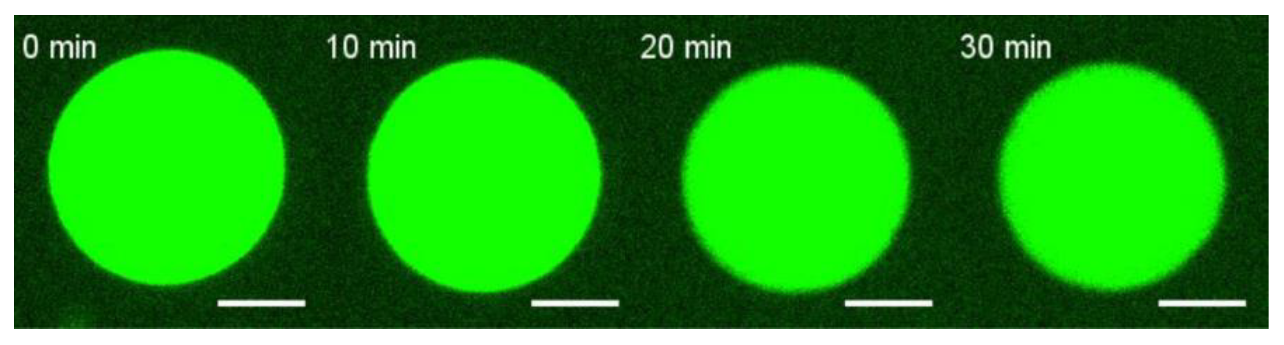 Biomolecules 14 01061 g006